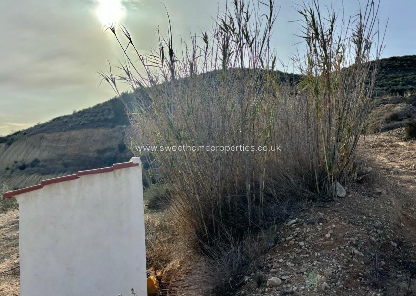 Resale - Country house - Aspe - El rabosero
