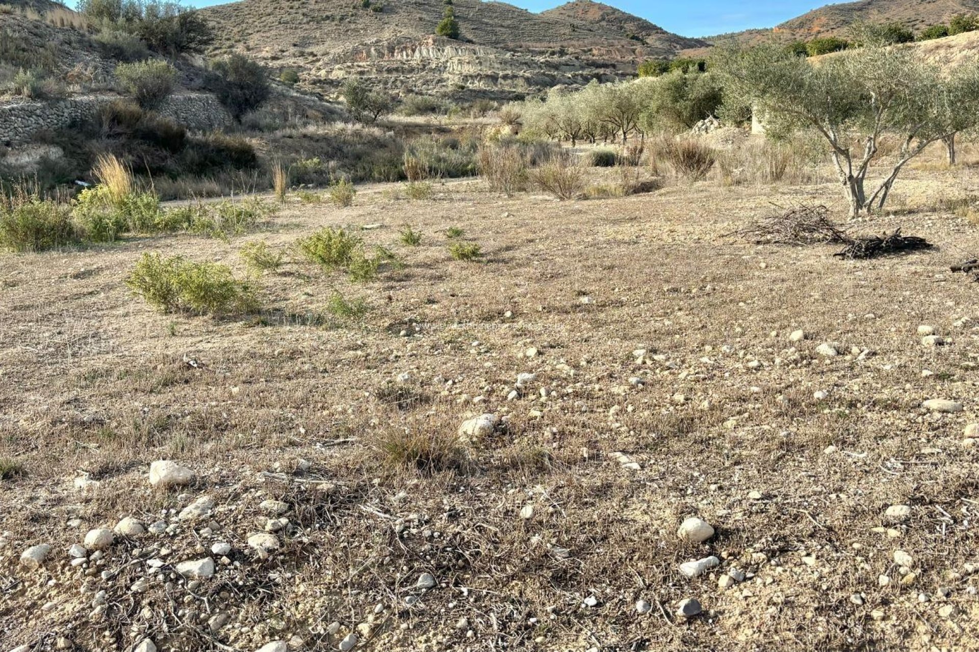 Resale - Country house - Aspe - El rabosero