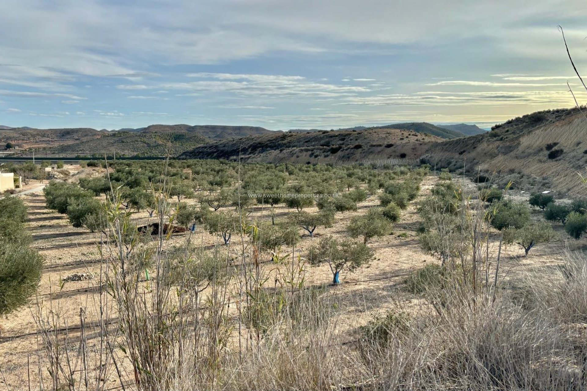 Resale - Country house - Aspe - El rabosero