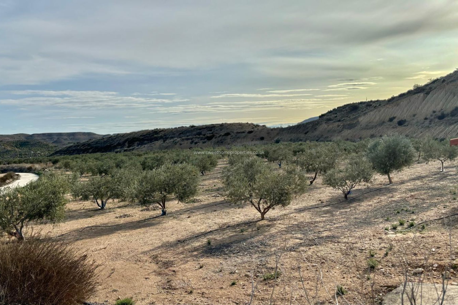 Resale - Country house - Aspe - El rabosero