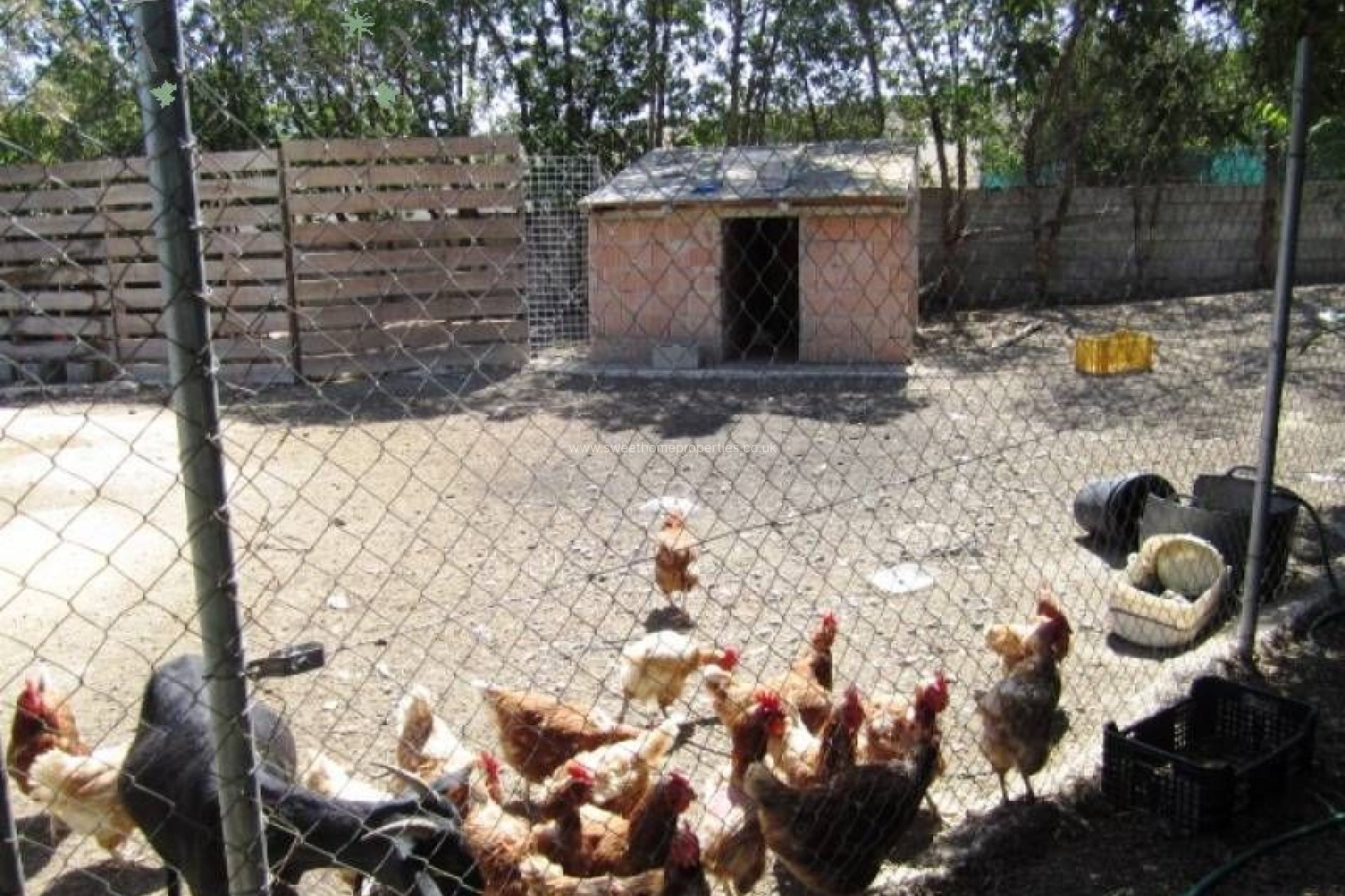 Resale - Country house - Aspe - Tolomo