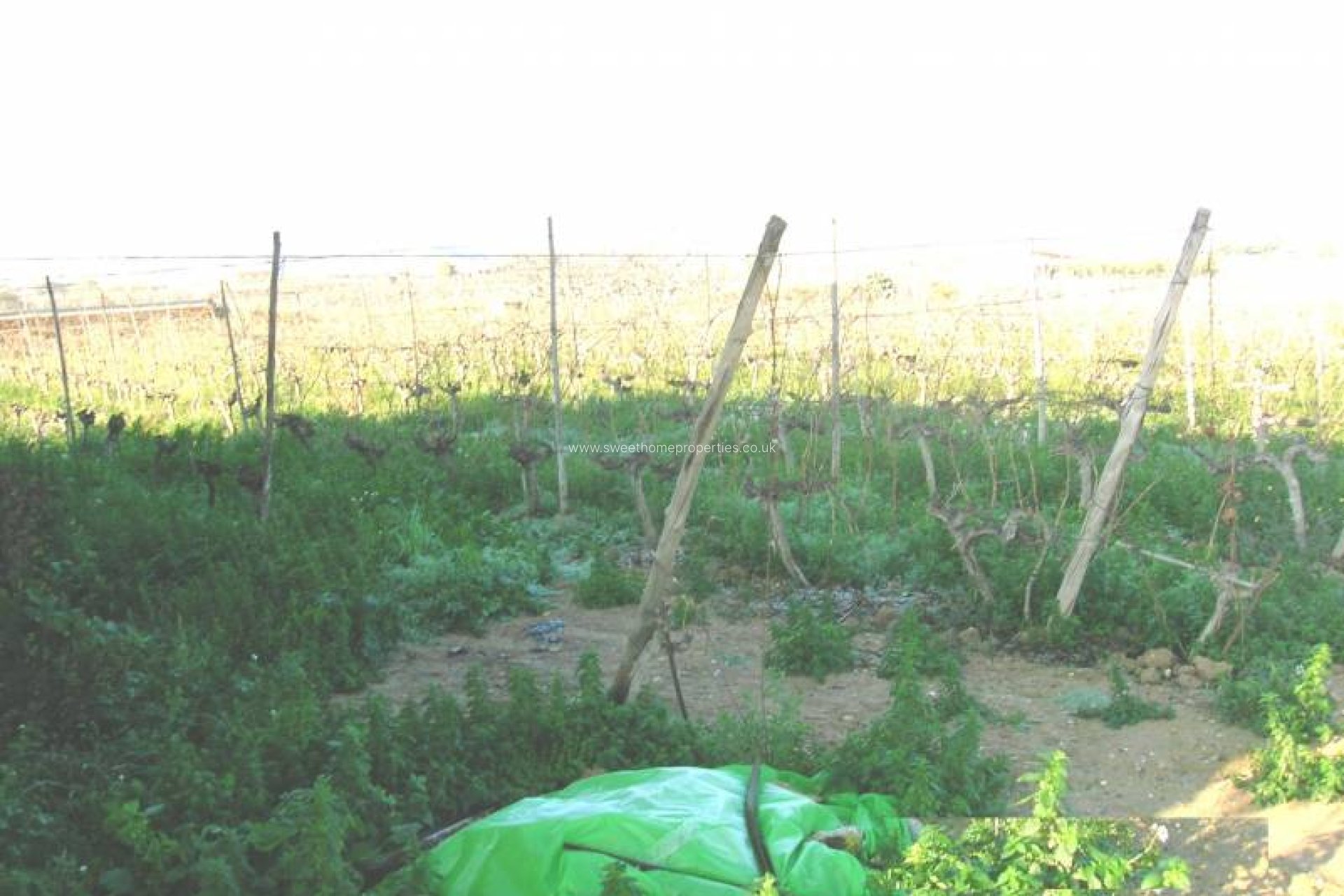 Resale - Country house - Aspe