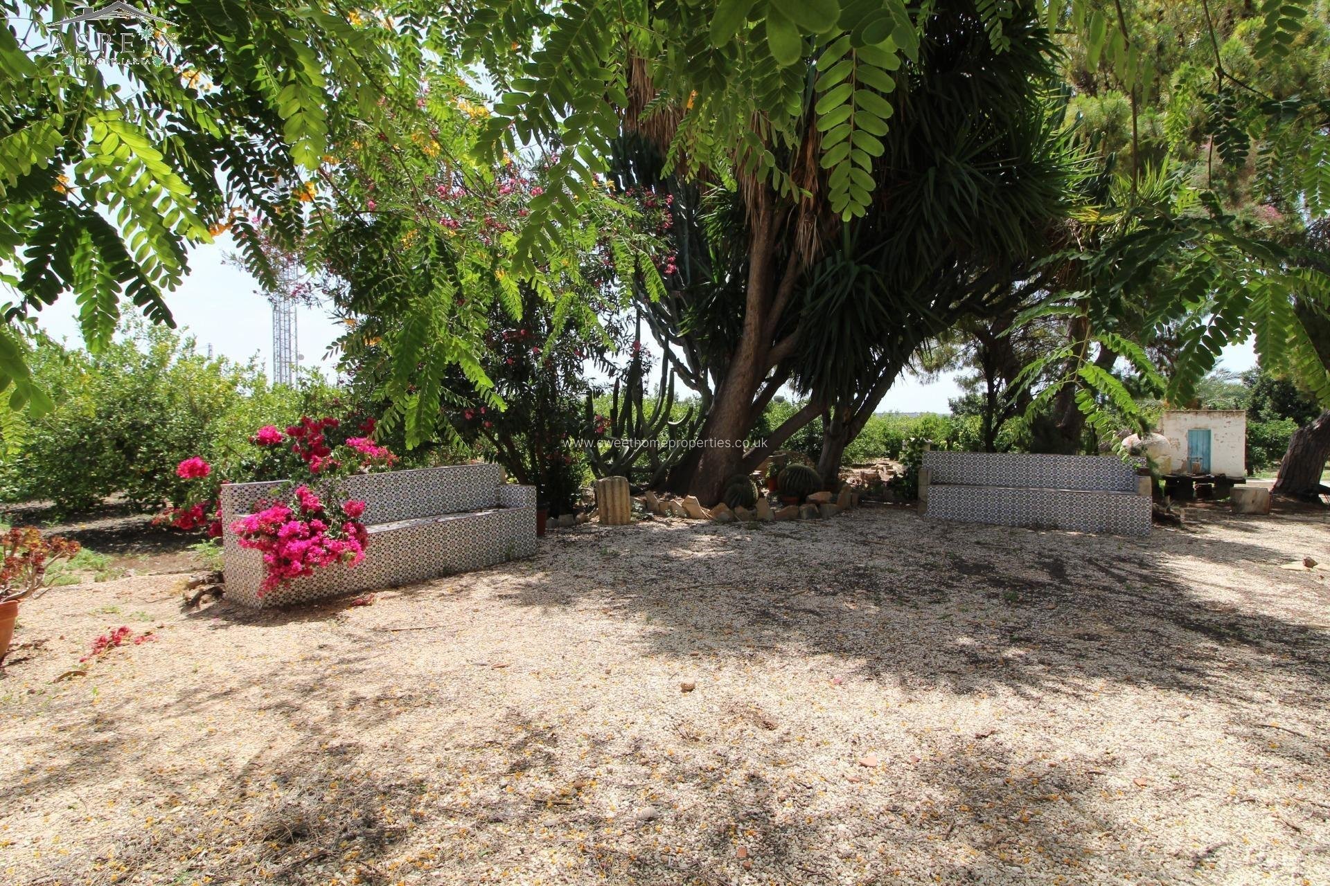 Resale - Country house - Elche - Salades