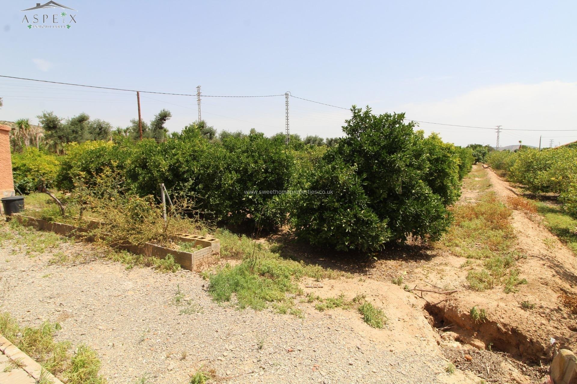 Resale - Country house - Elche