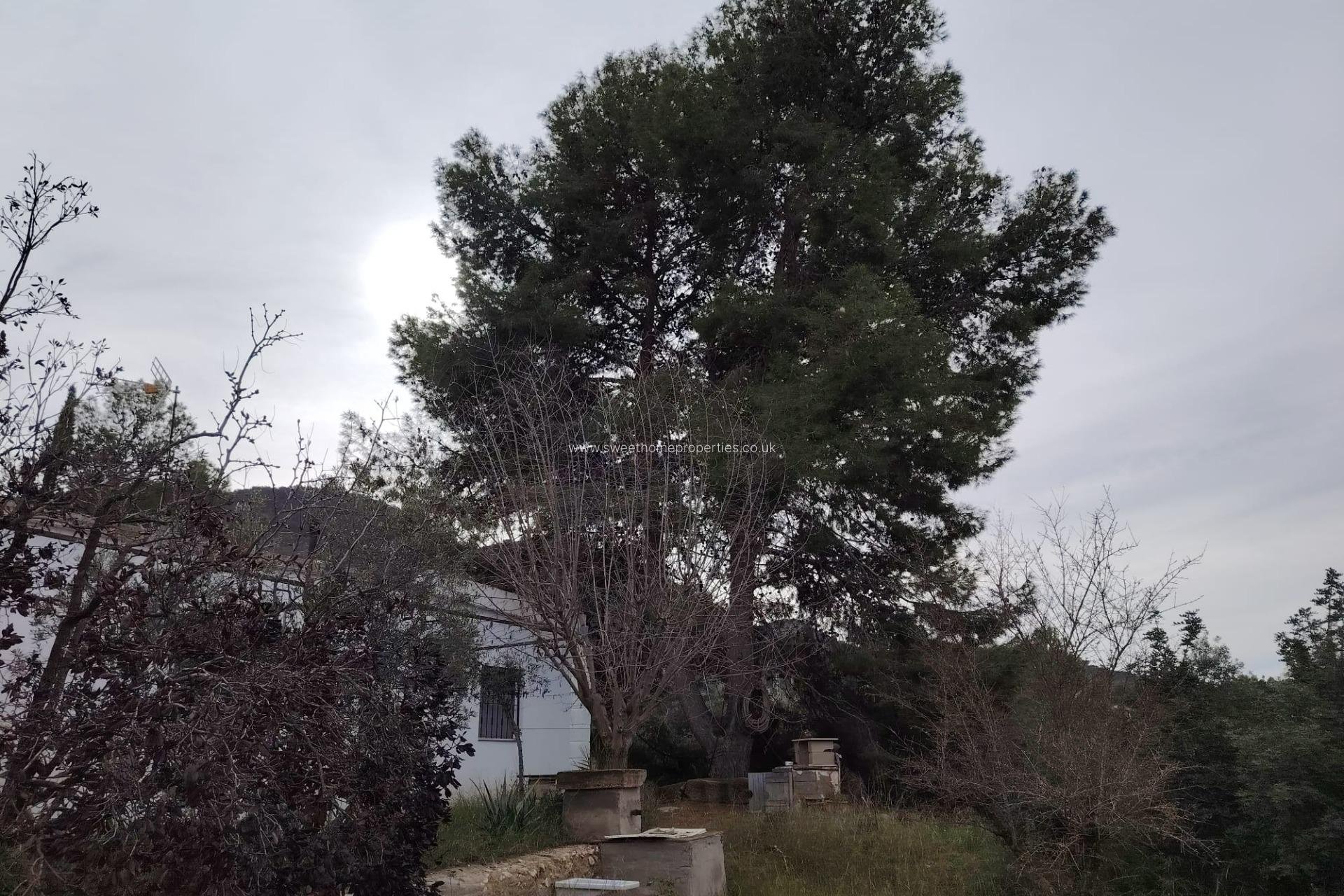 Resale - Country house - Hondon De Las Nieves - BAYON