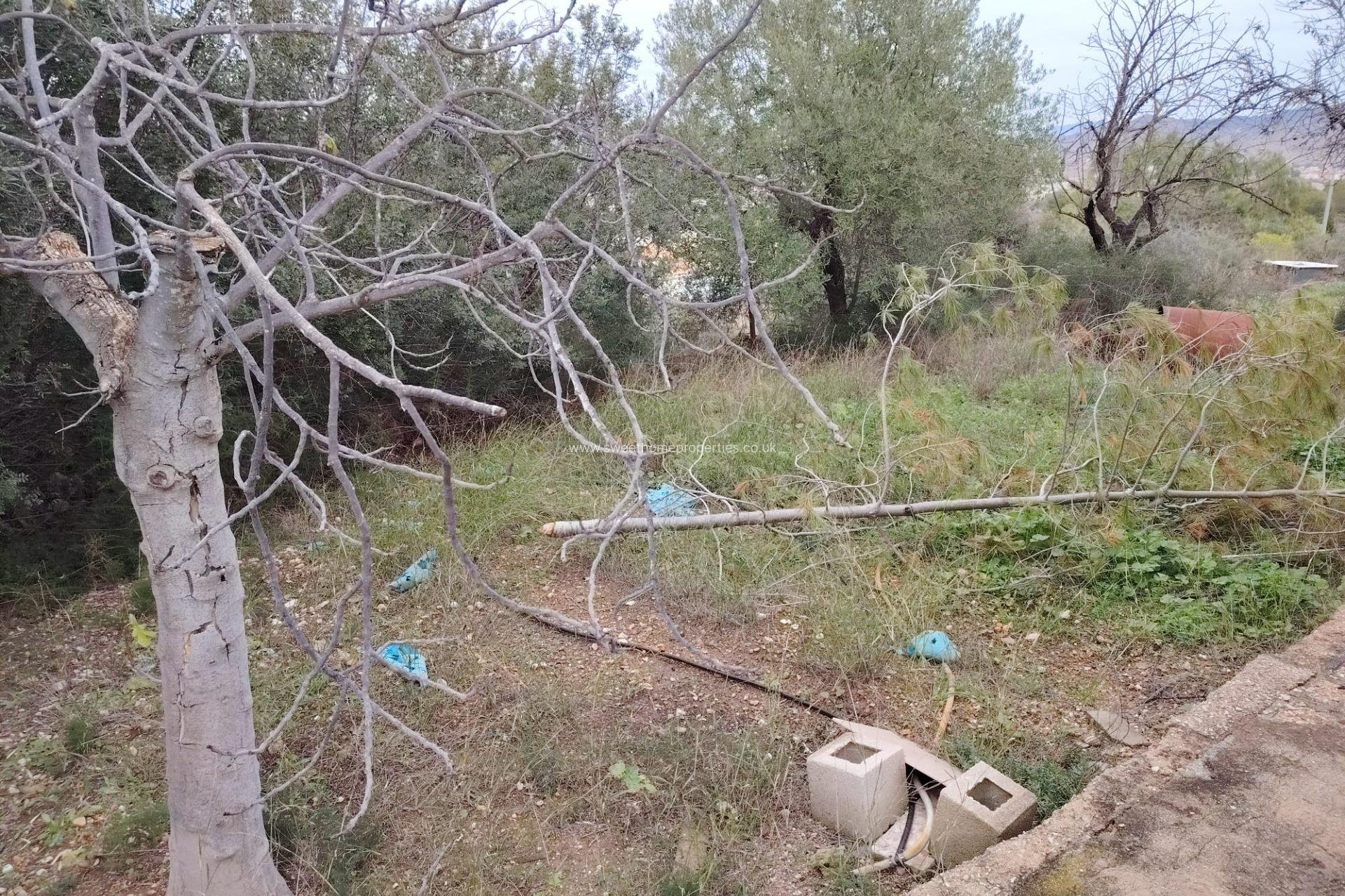 Resale - Country house - Hondon De Las Nieves - BAYON