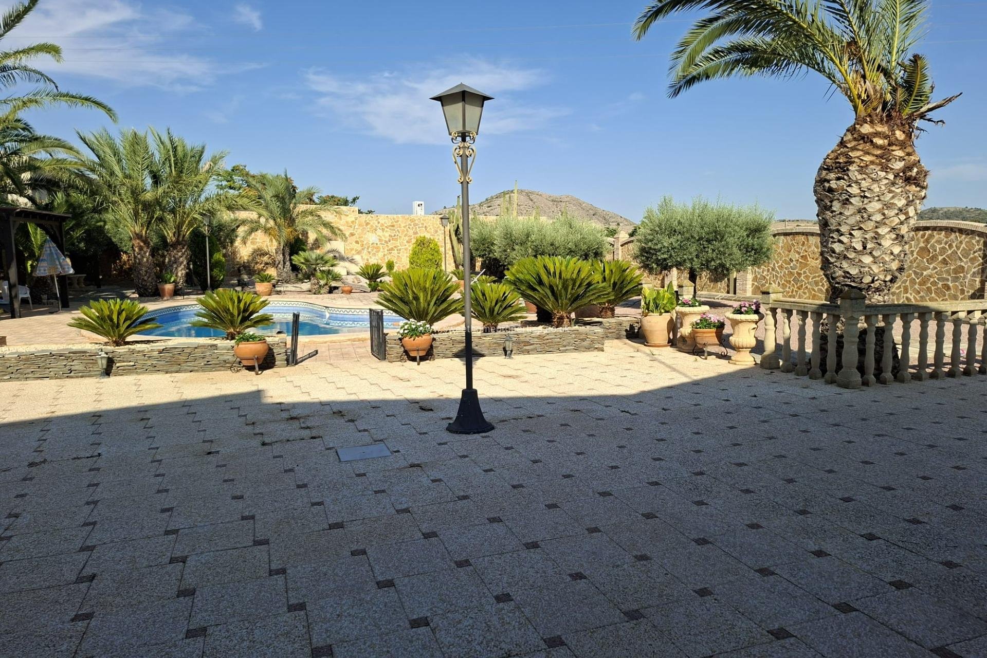 Resale - Country house - Hondon De Las Nieves - Pueblo 6