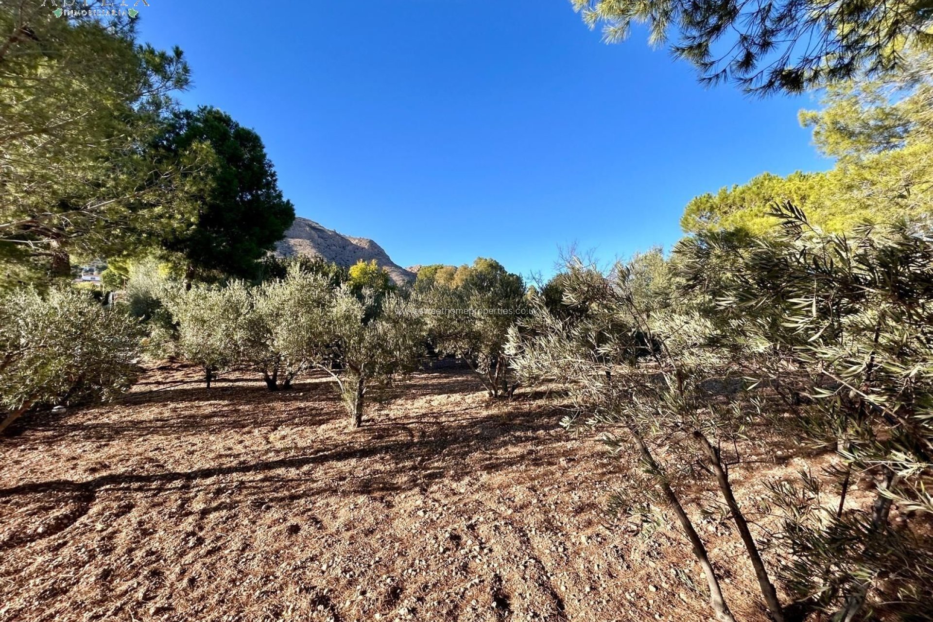 Resale - Country house - Hondon De Las Nieves - SOLANA