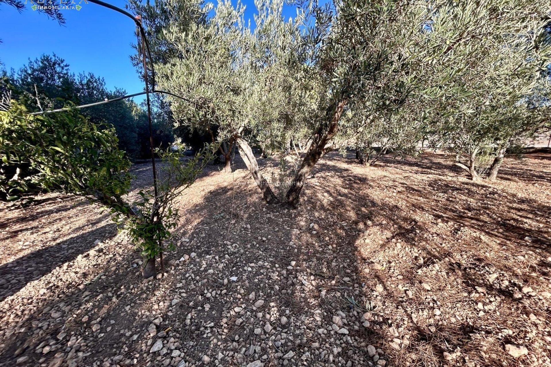 Resale - Country house - Hondon De Las Nieves - SOLANA