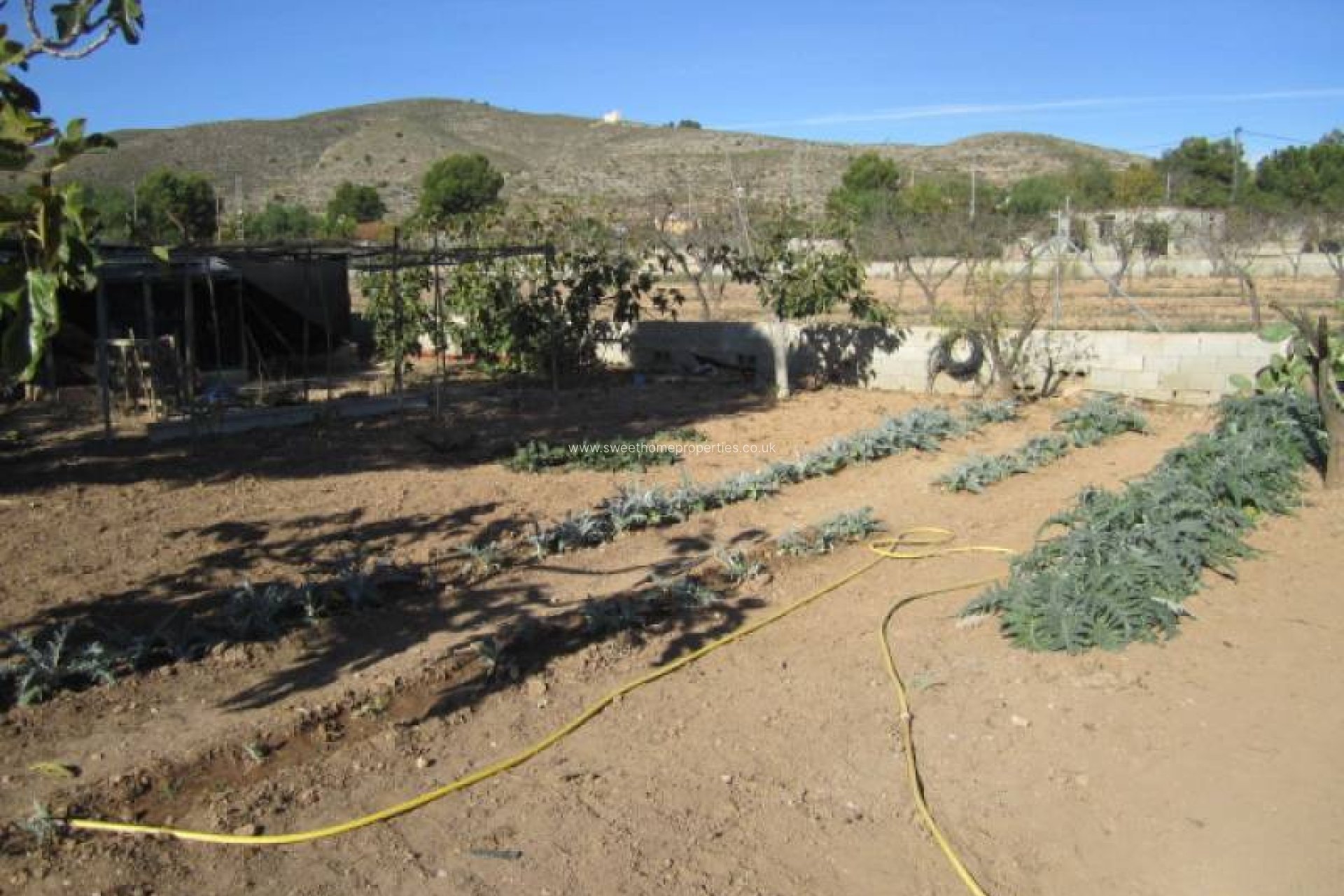 Resale - Country house - Hondon De Los Frailes - CASAS DE GALIANA