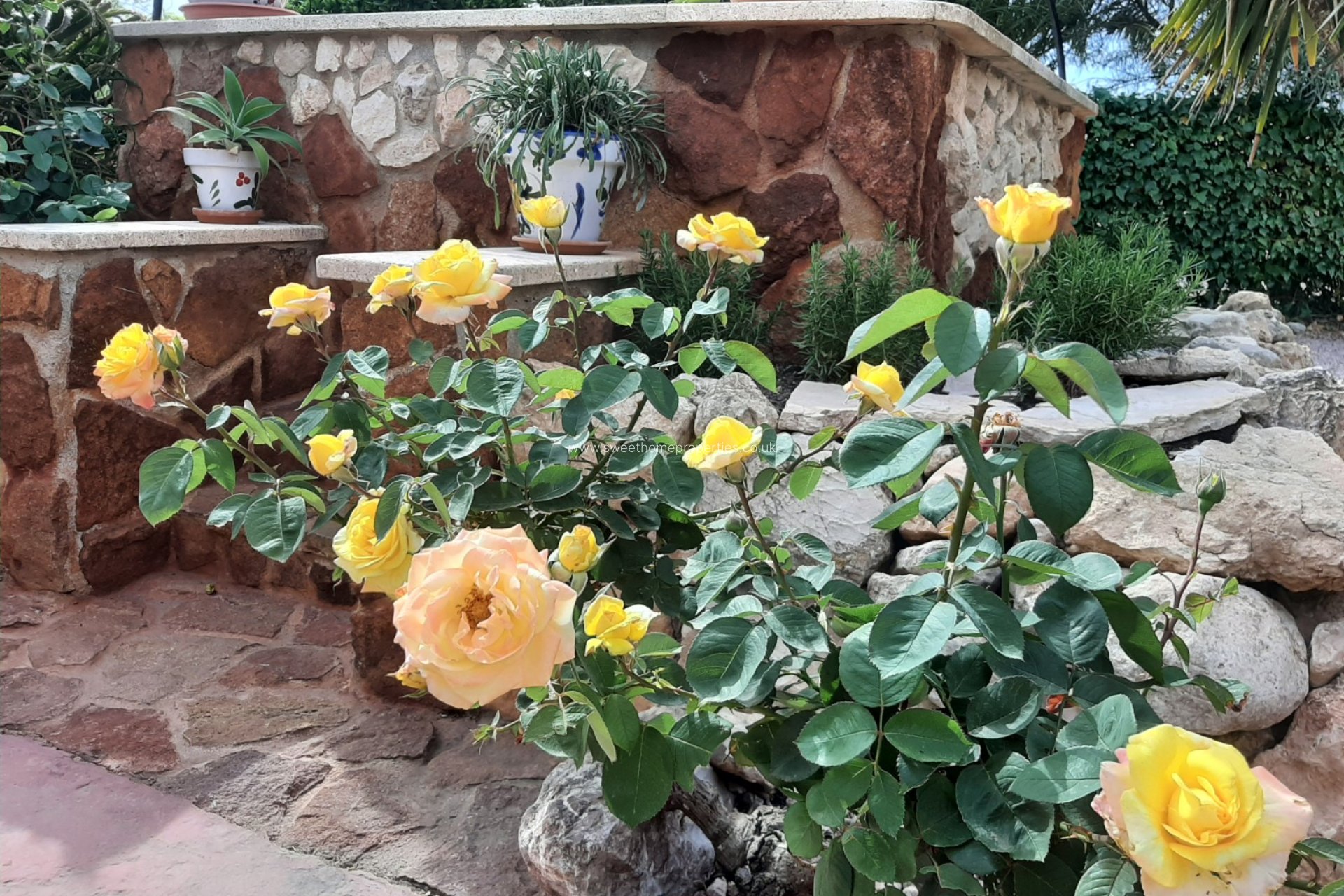 Resale - Country house - Hondon De Los Frailes