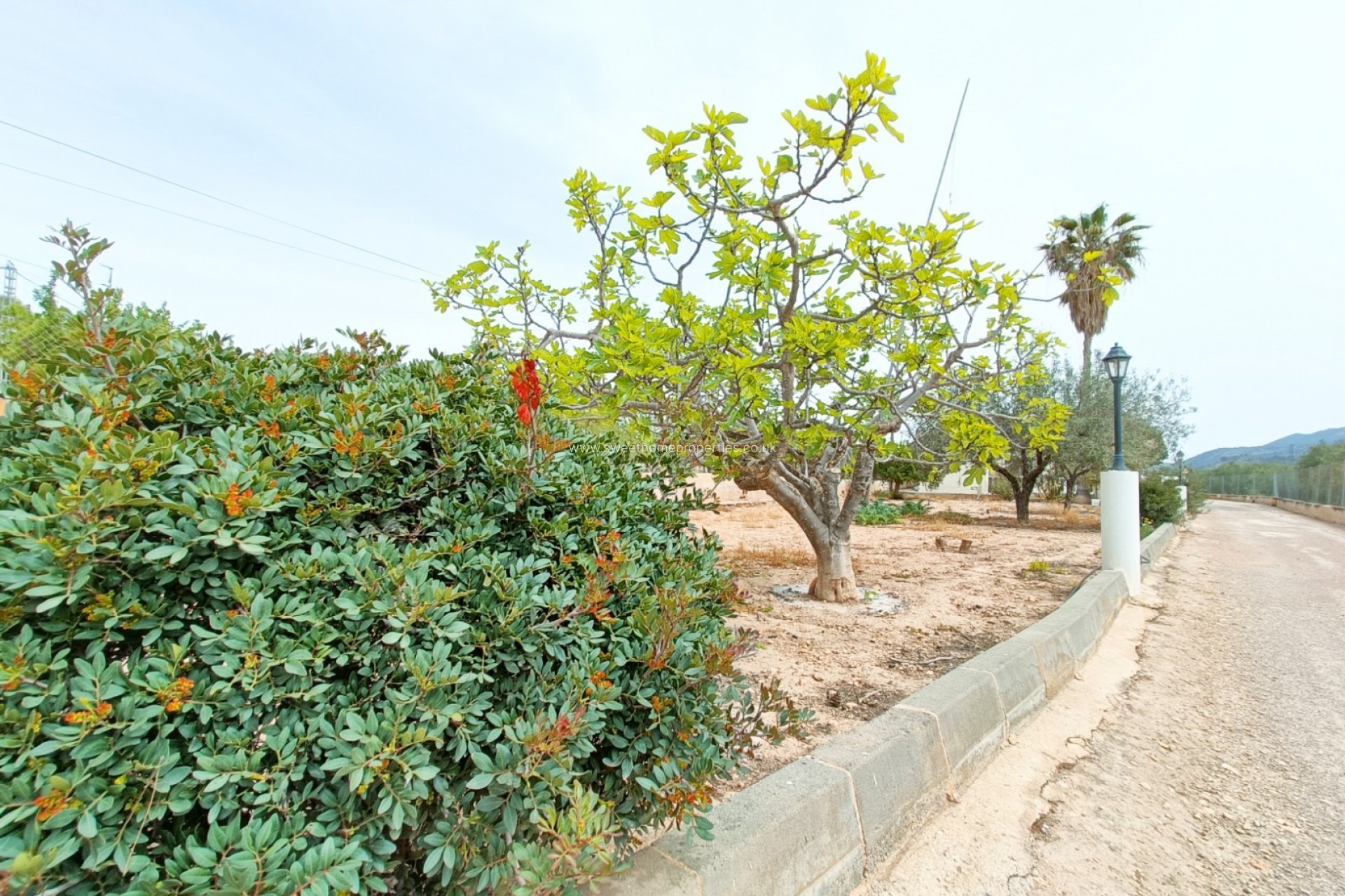 Resale - Country house - Hondon De Los Frailes