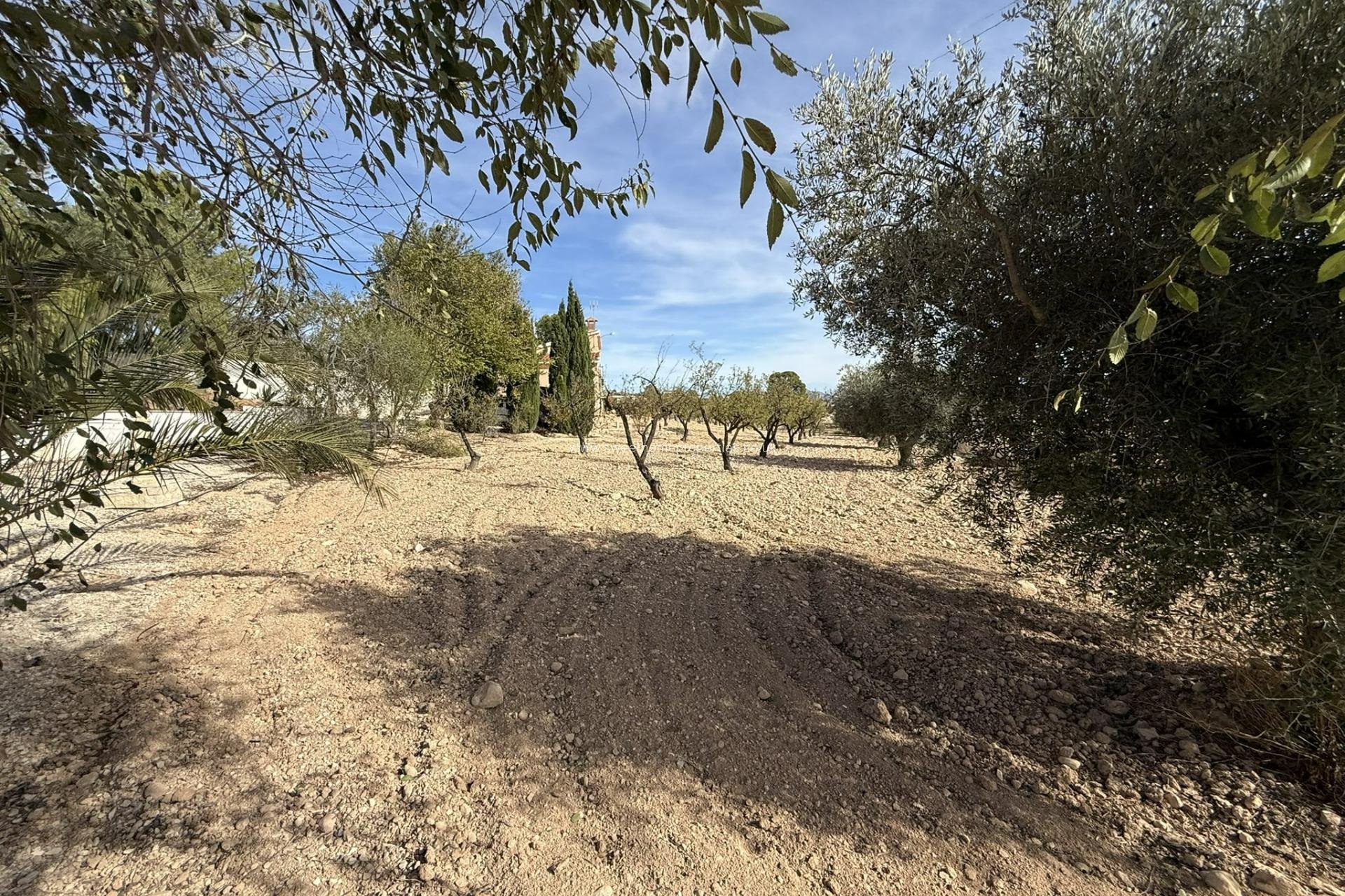 Resale - Country house - Jumilla - Pinoso