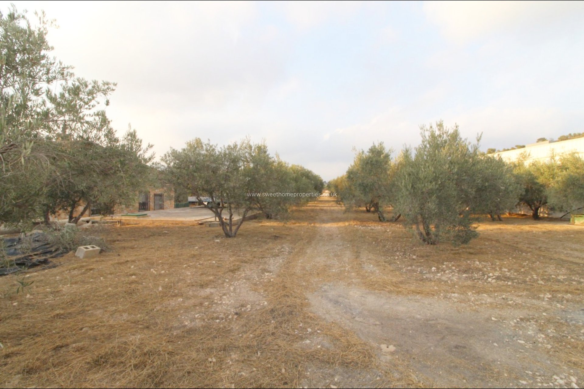 Resale - Country house - La Romana - LA ALCANA