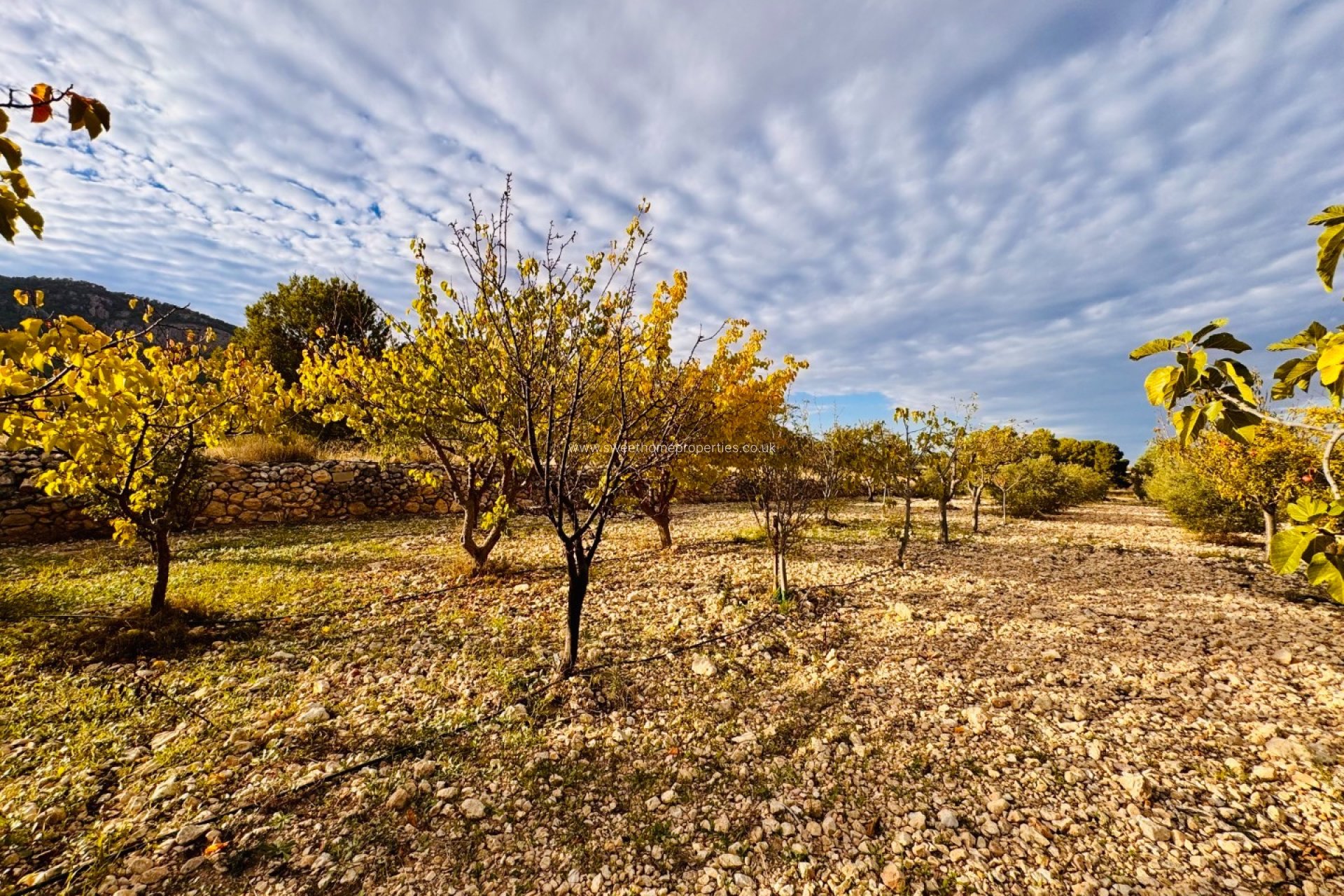 Resale - Country house - La Romana - LA ROMANA