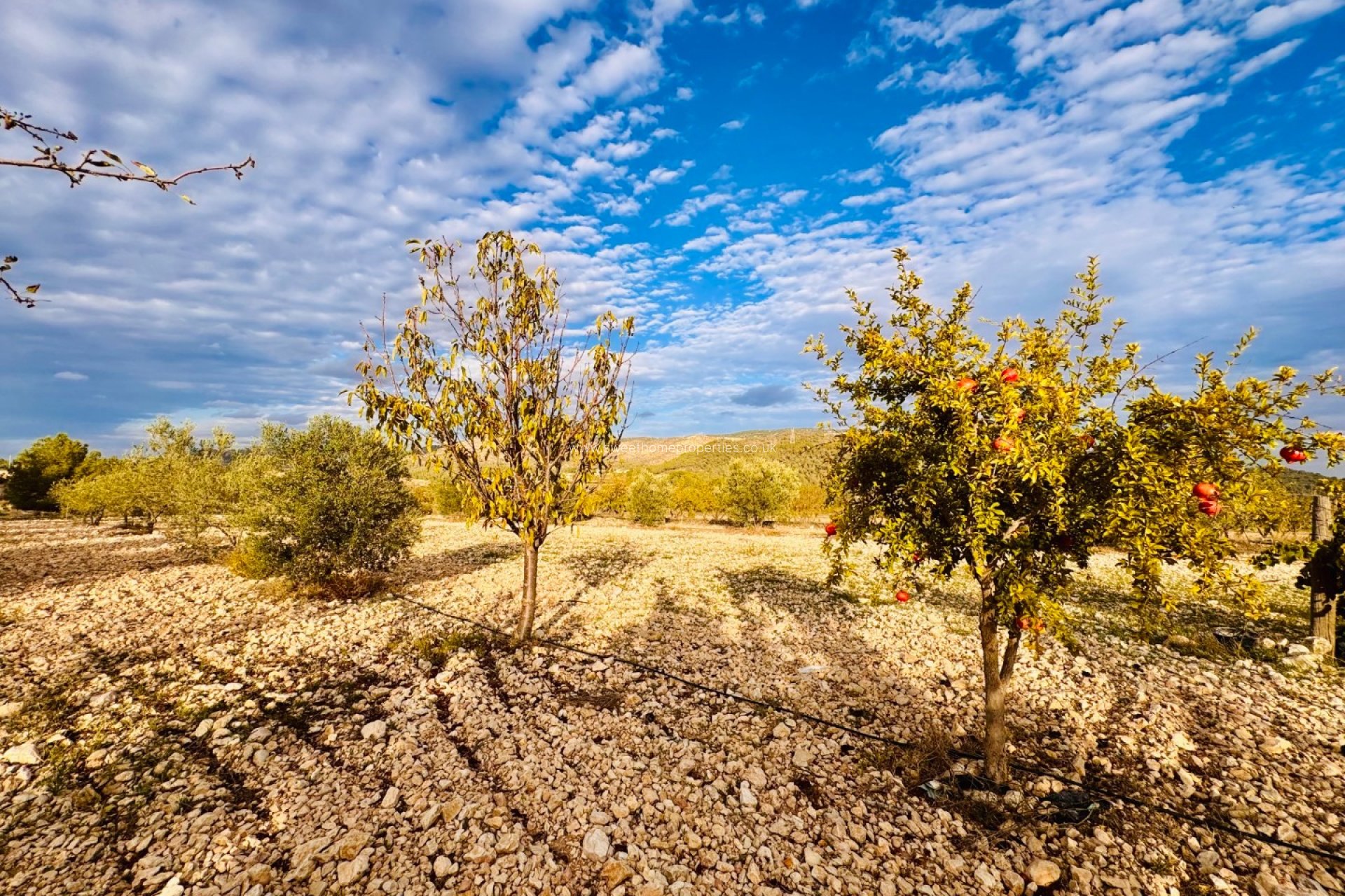 Resale - Country house - La Romana - LA ROMANA