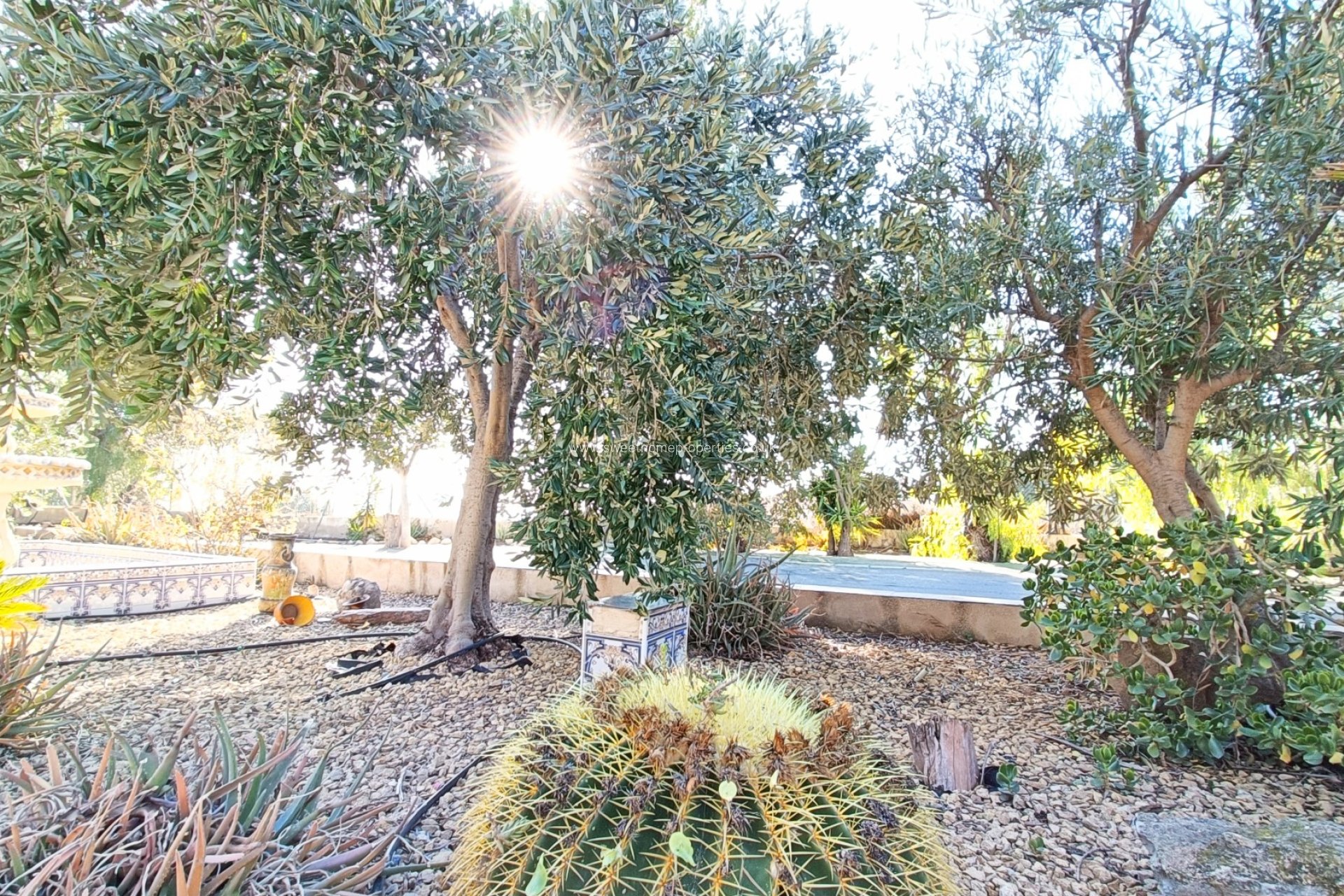 Resale - Country house - La Romana