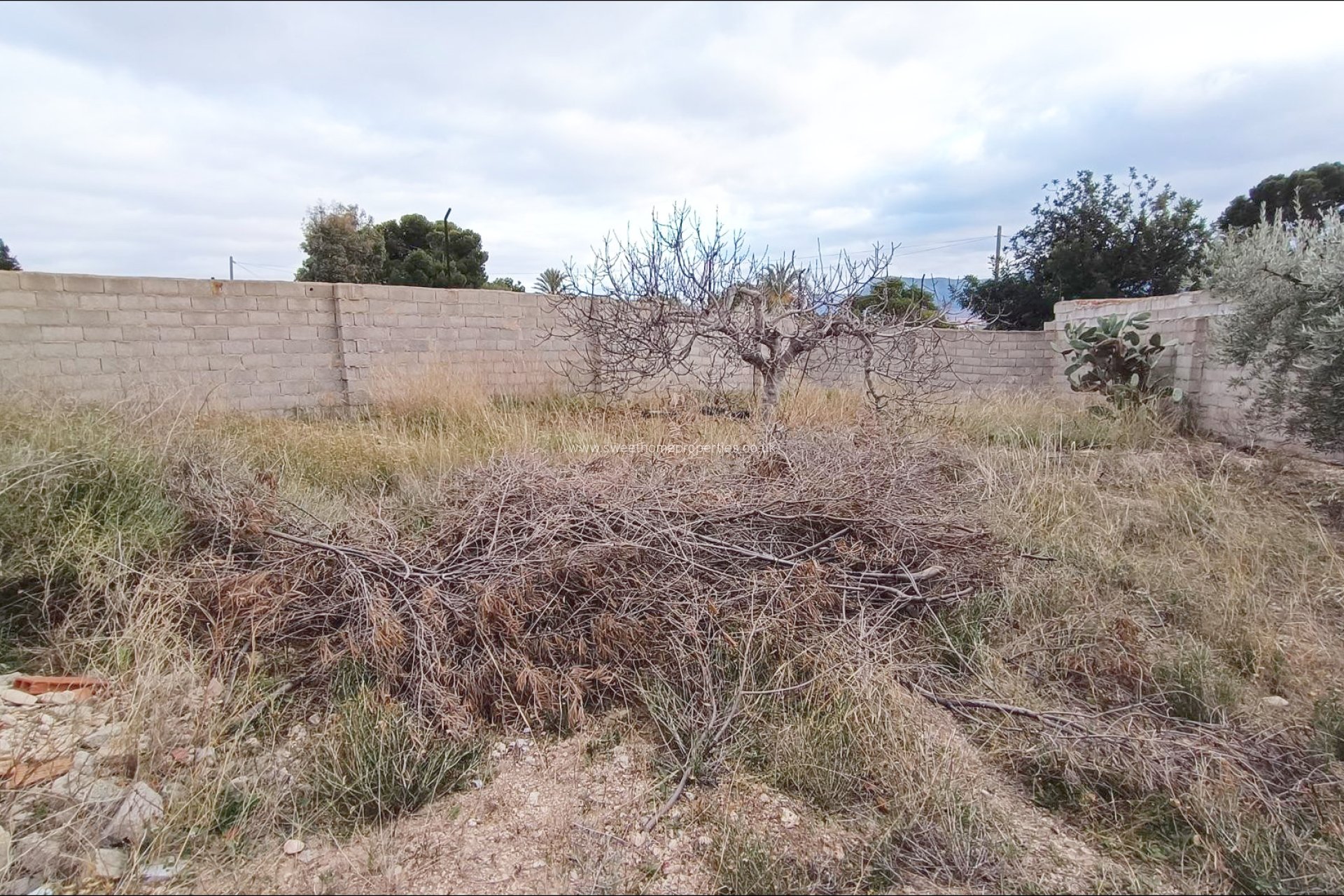 Resale - Country house - La Romana