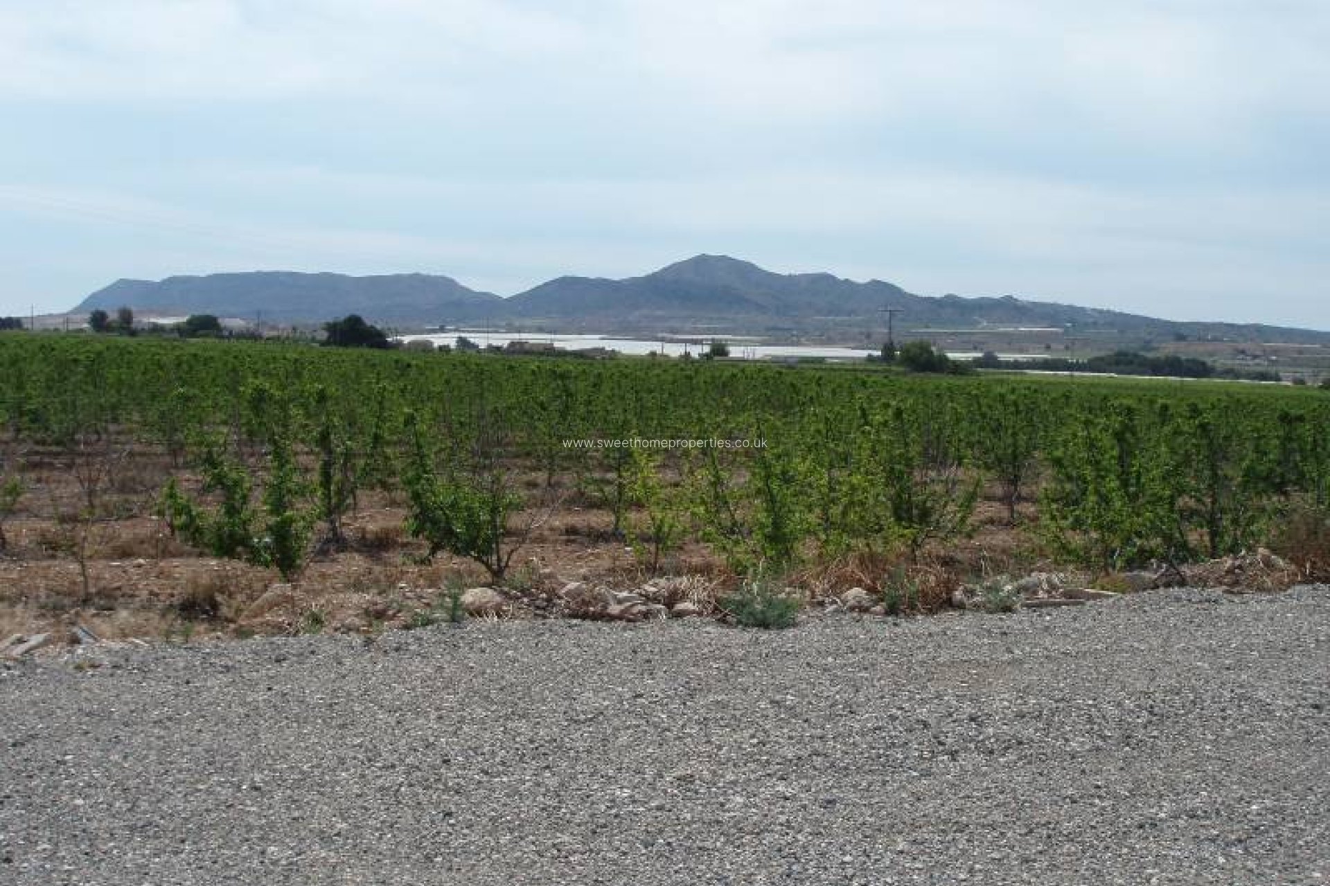 Resale - Country house - Monforte del Cid - GABARRERA