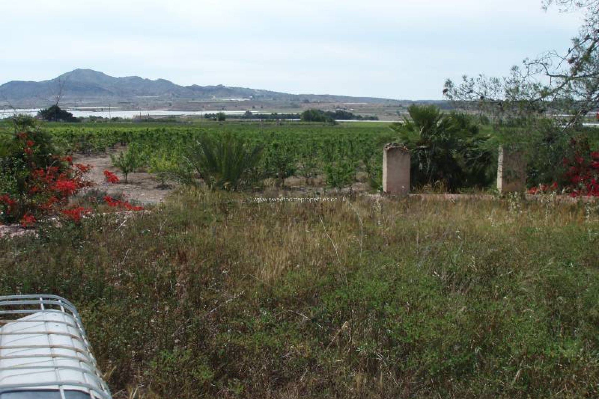 Resale - Country house - Monforte del Cid - GABARRERA