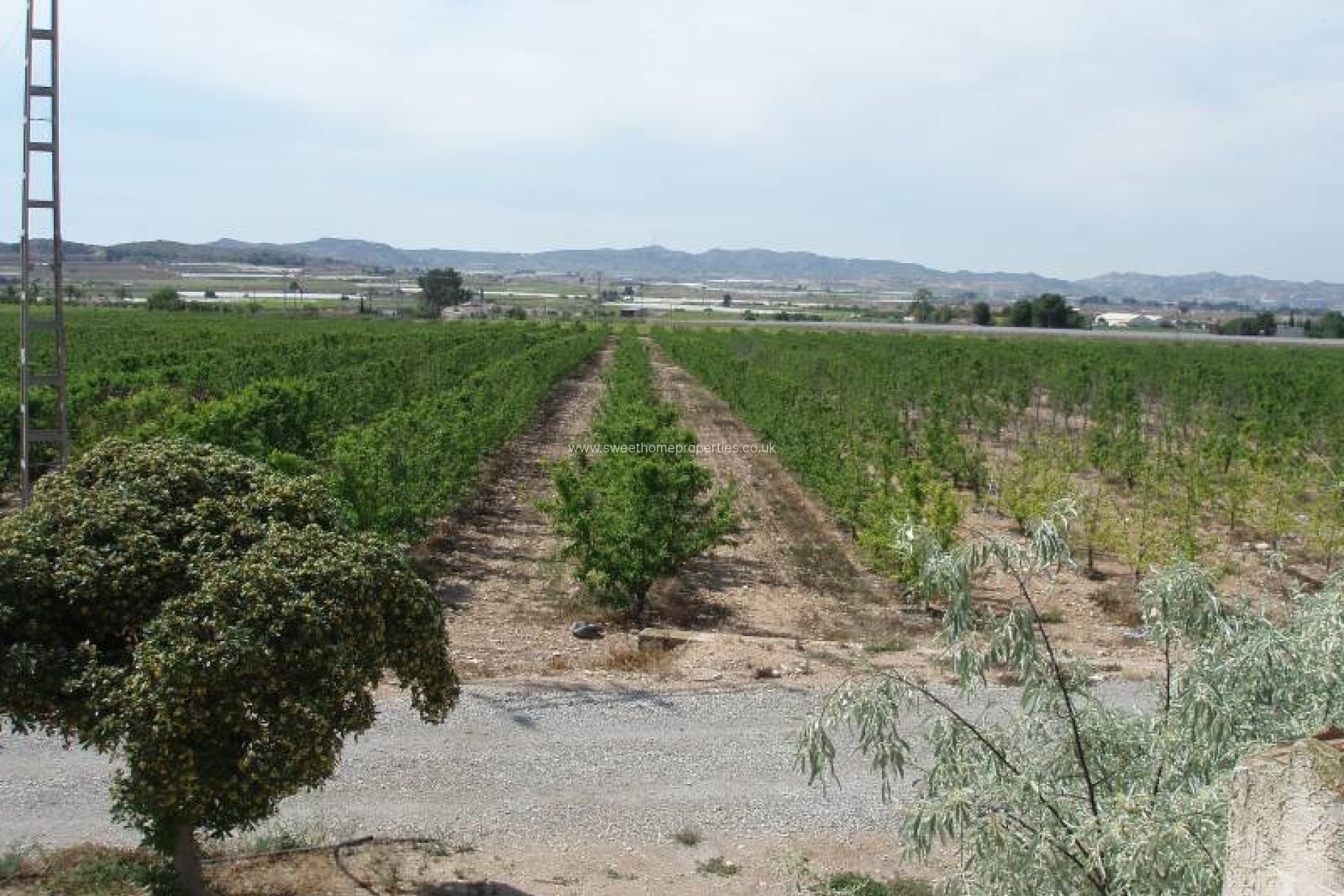 Resale - Country house - Monforte del Cid - GABARRERA