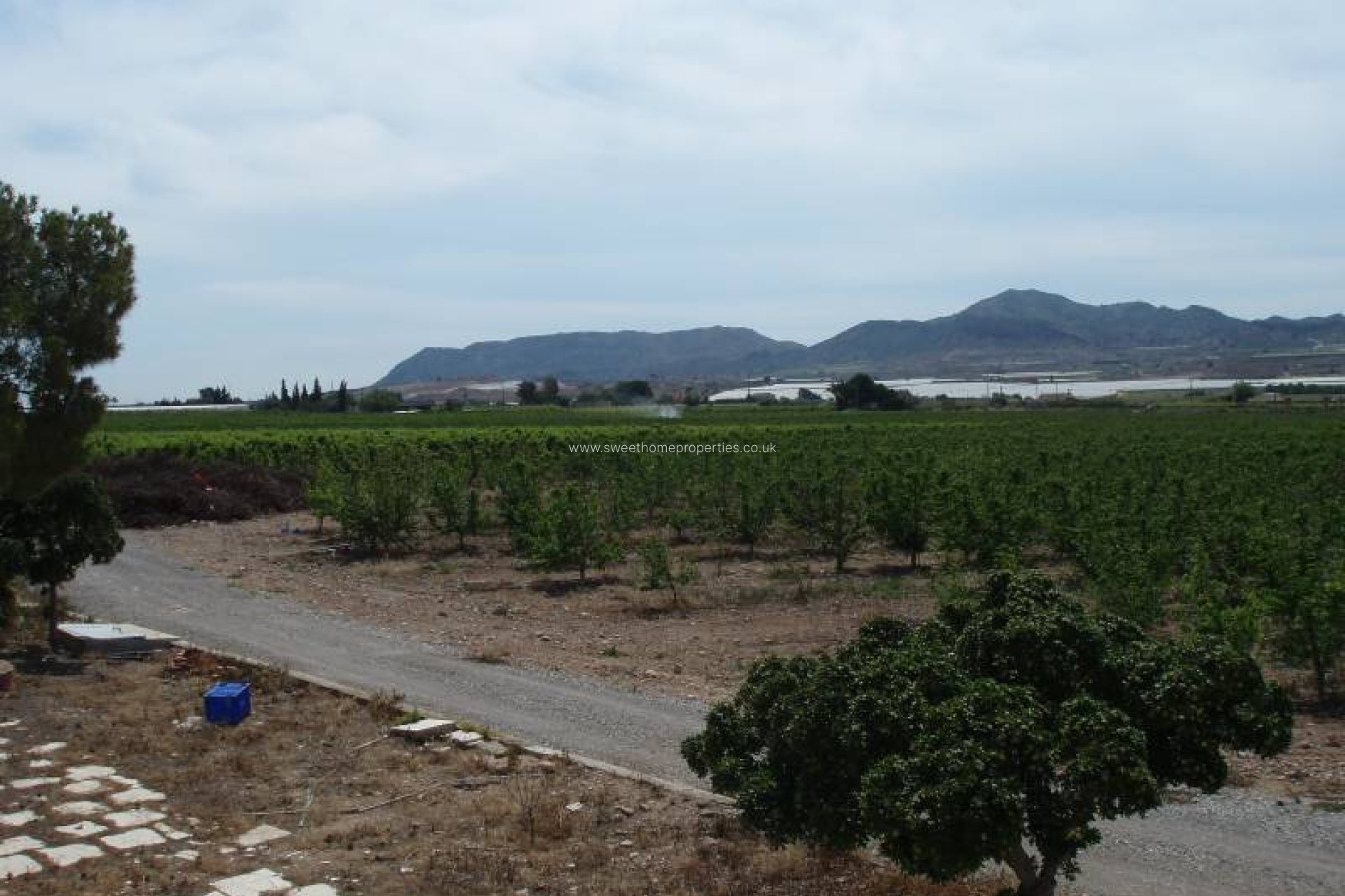 Resale - Country house - Monforte del Cid - GABARRERA