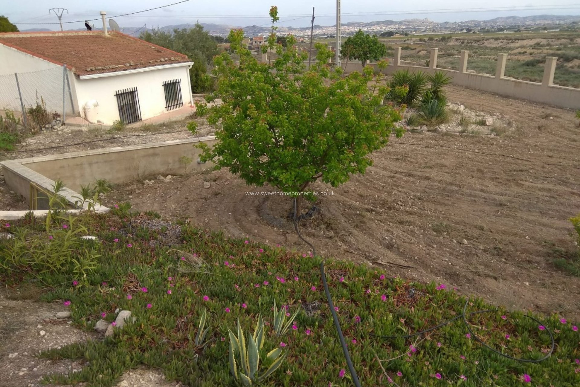 Resale - Country house - Novelda - BETIES