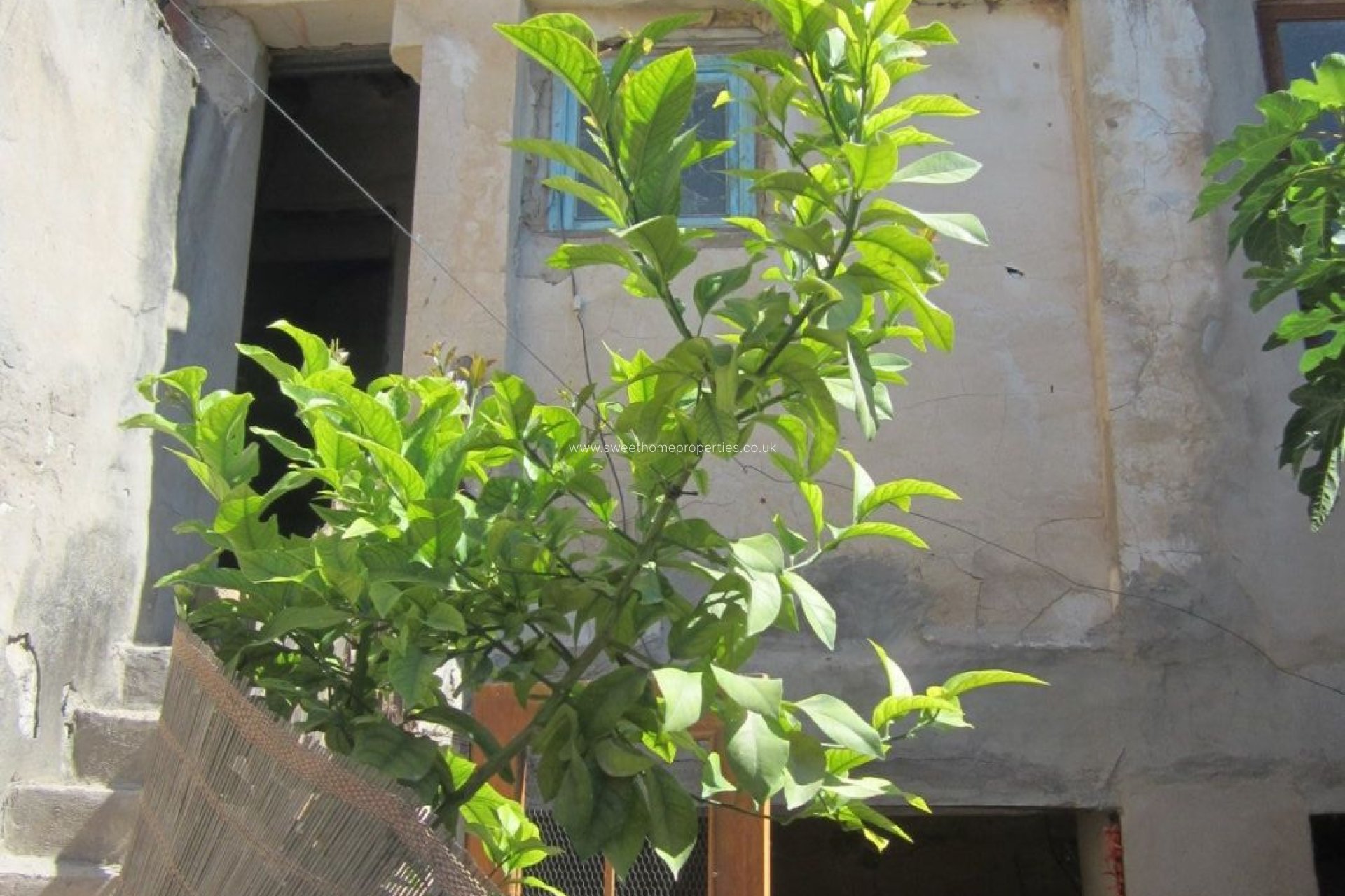 Resale - Country house - Novelda - Comunidad valenciana