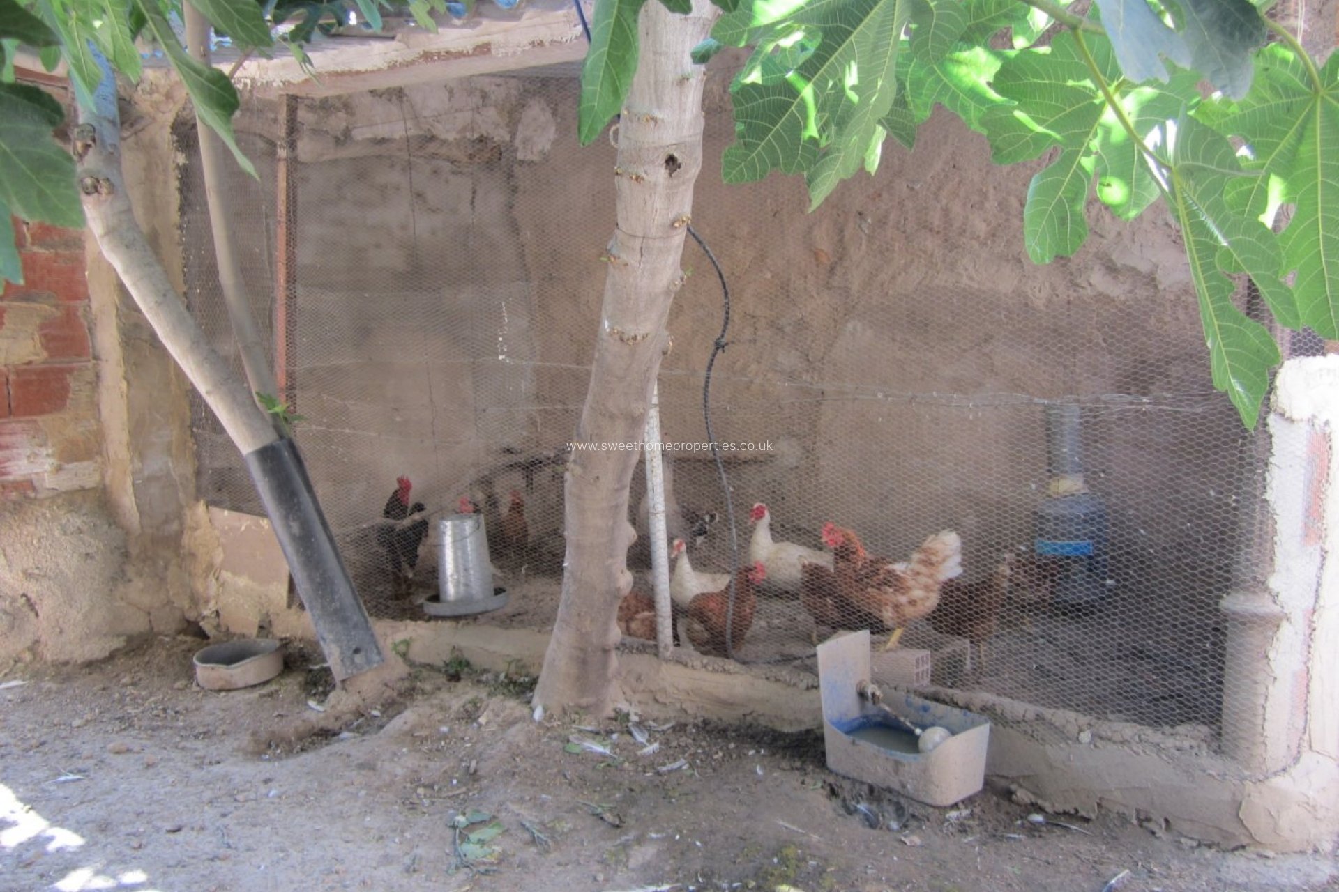 Resale - Country house - Novelda - Comunidad valenciana