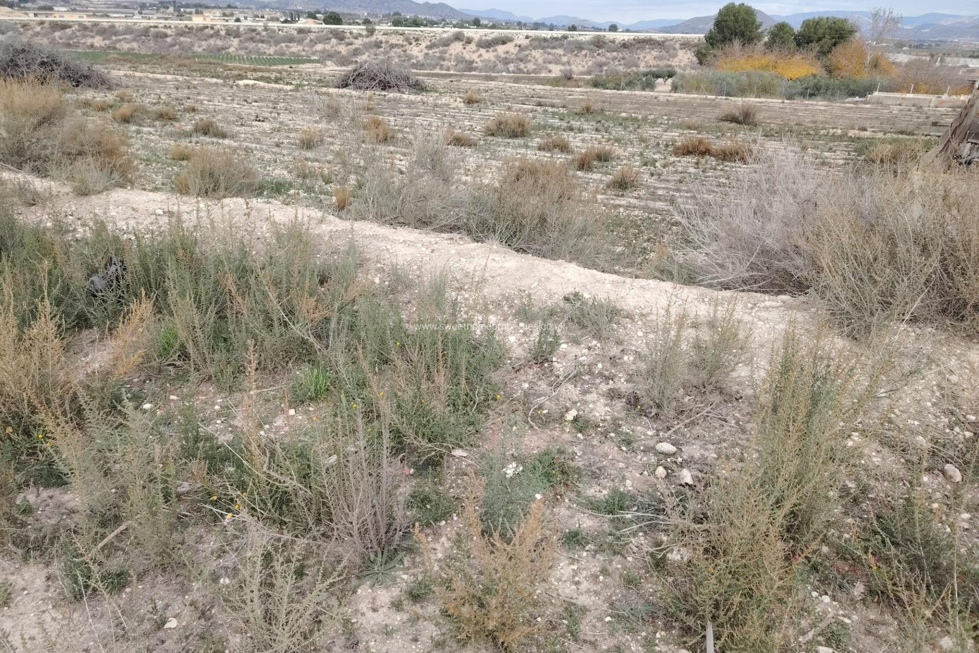 Resale - Country house - Novelda - Comunidad valenciana