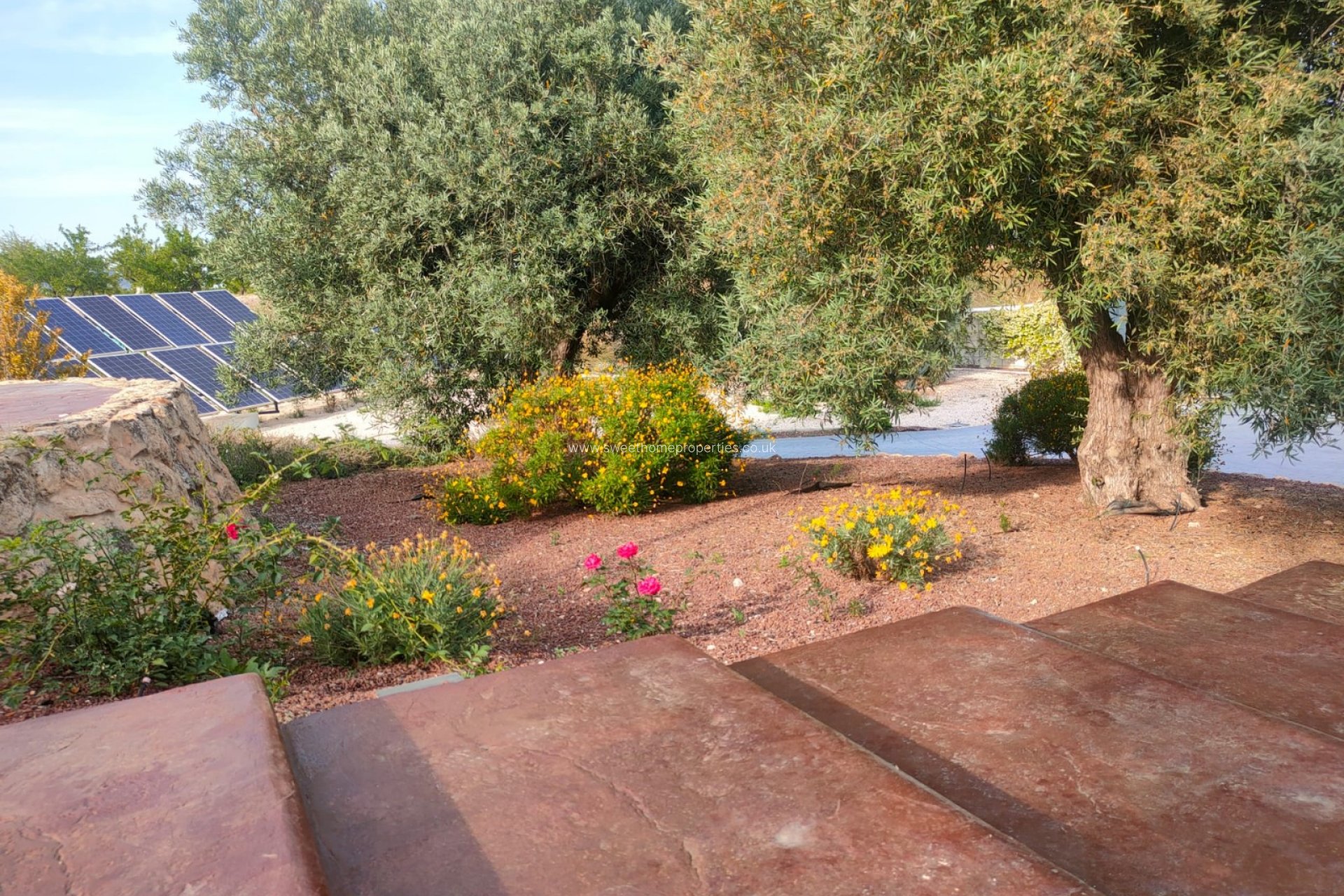 Resale - Country house - Pinoso