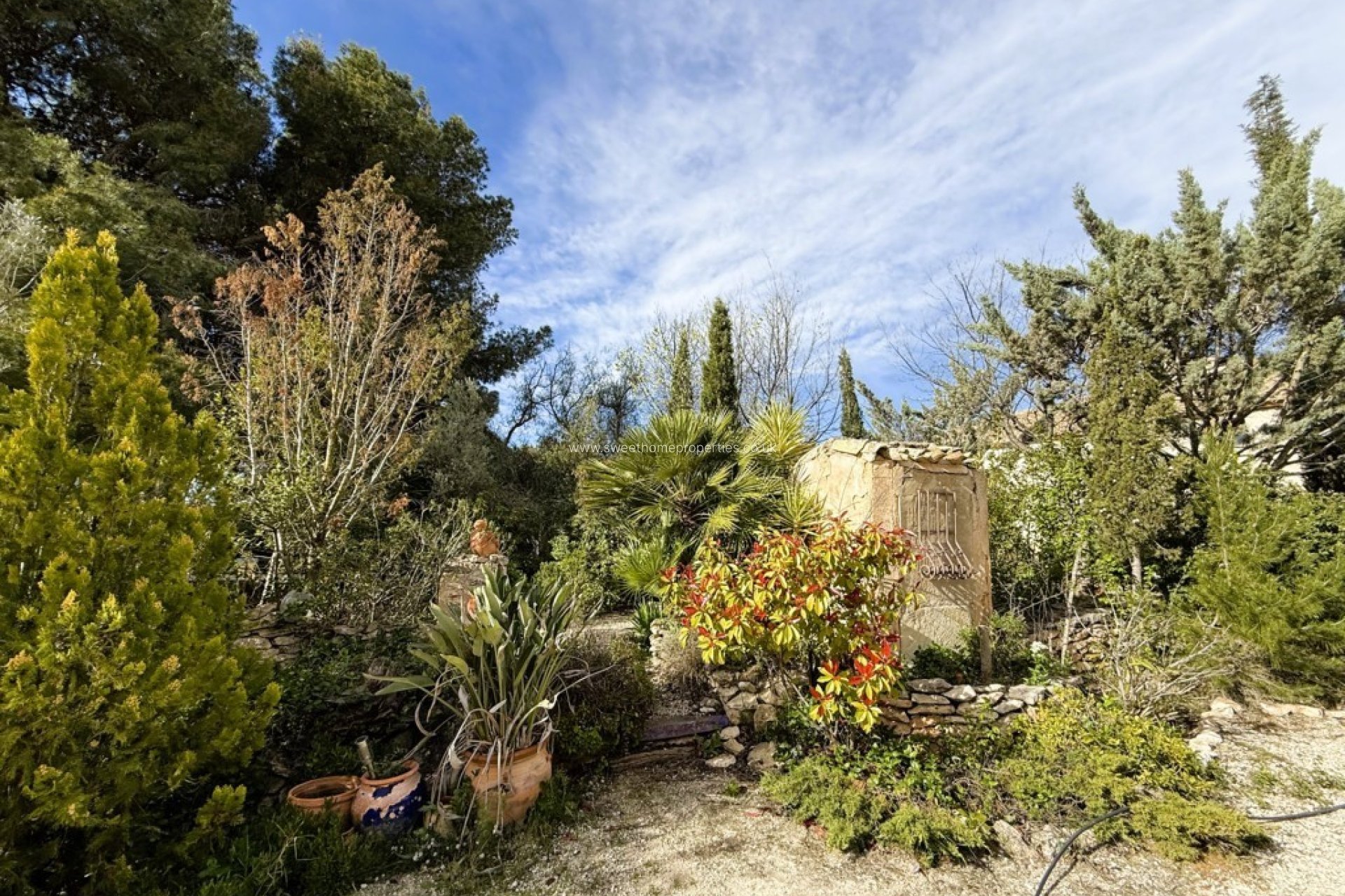 Resale - Country house - Pinoso