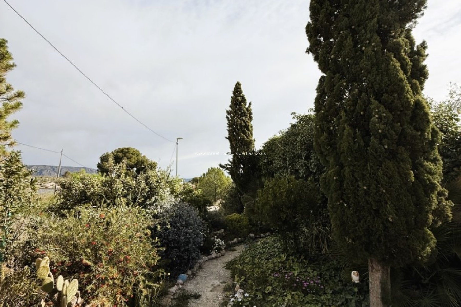 Resale - Country house - Pinoso