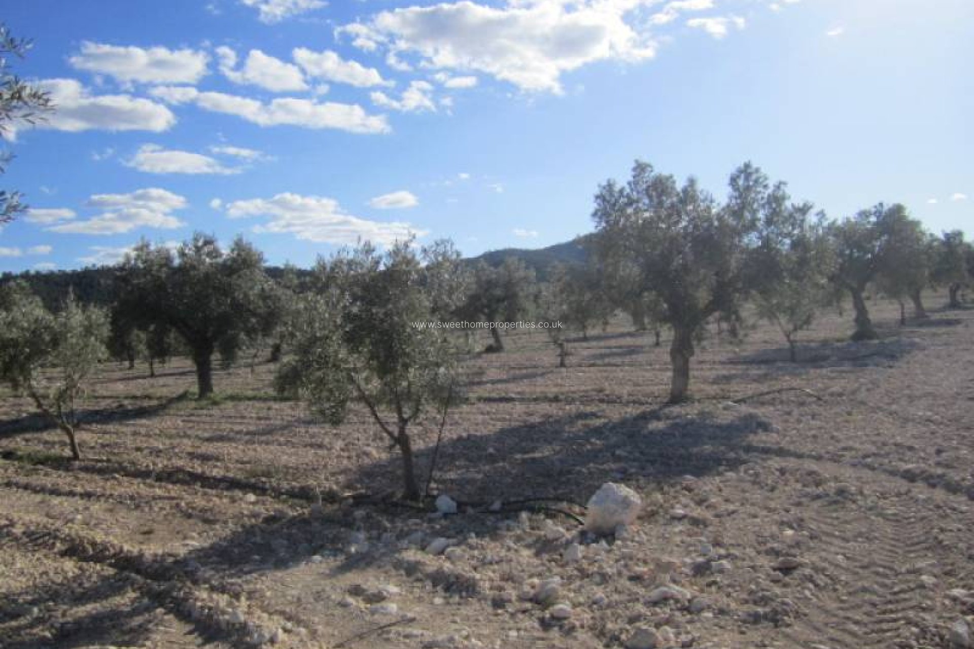 Resale - Country house - Salinas