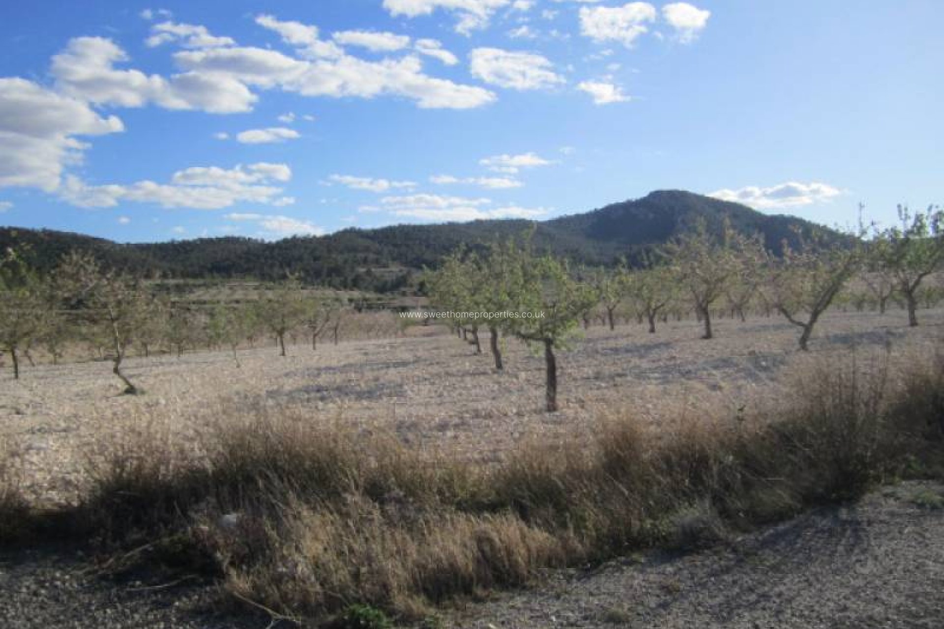 Resale - Country house - Salinas