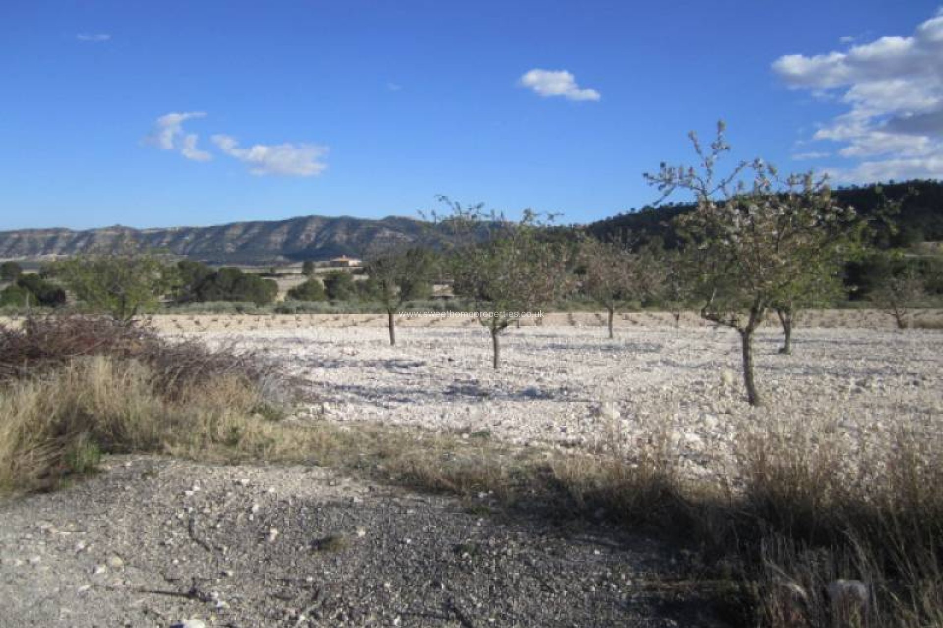 Resale - Country house - Salinas