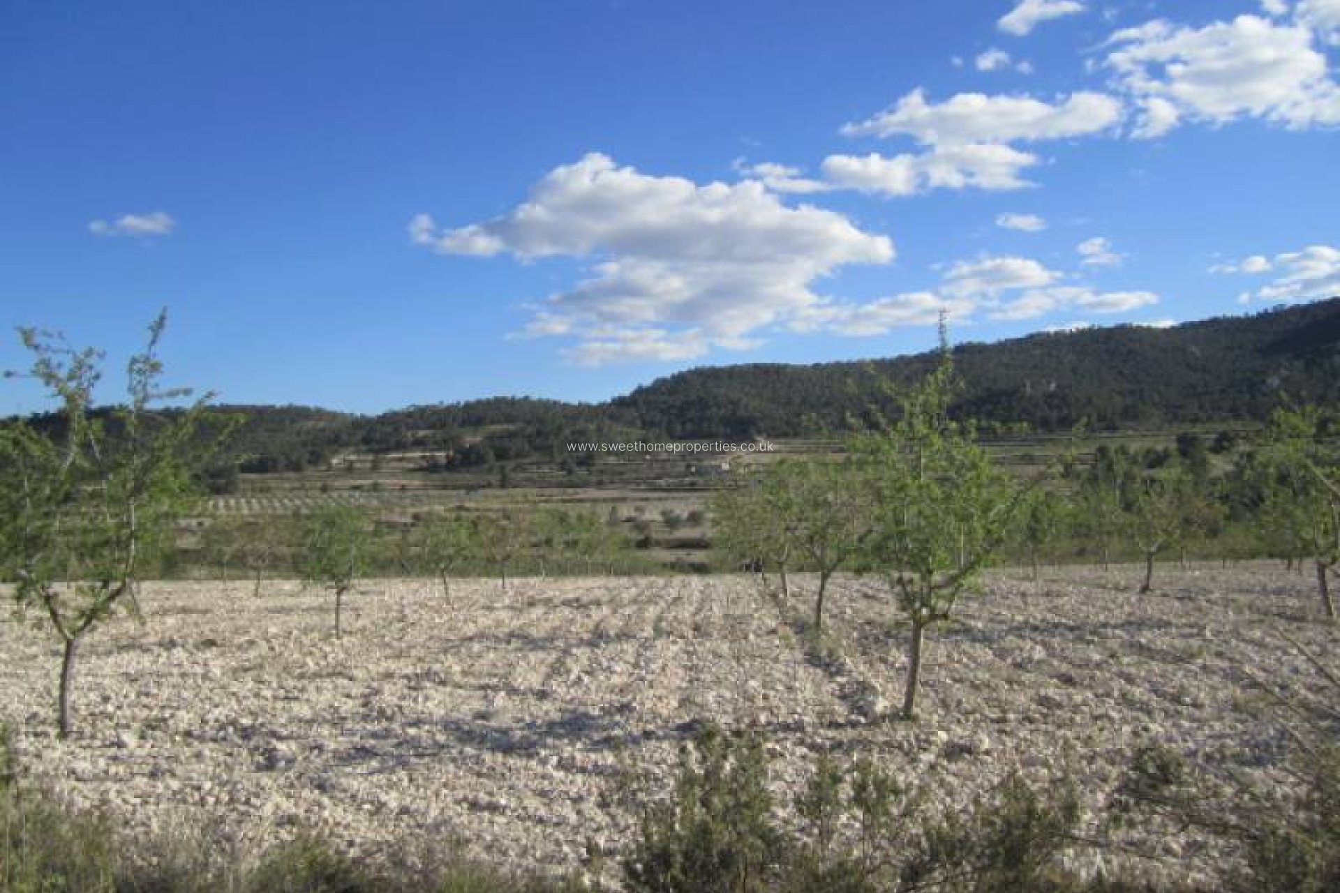 Resale - Country house - Salinas