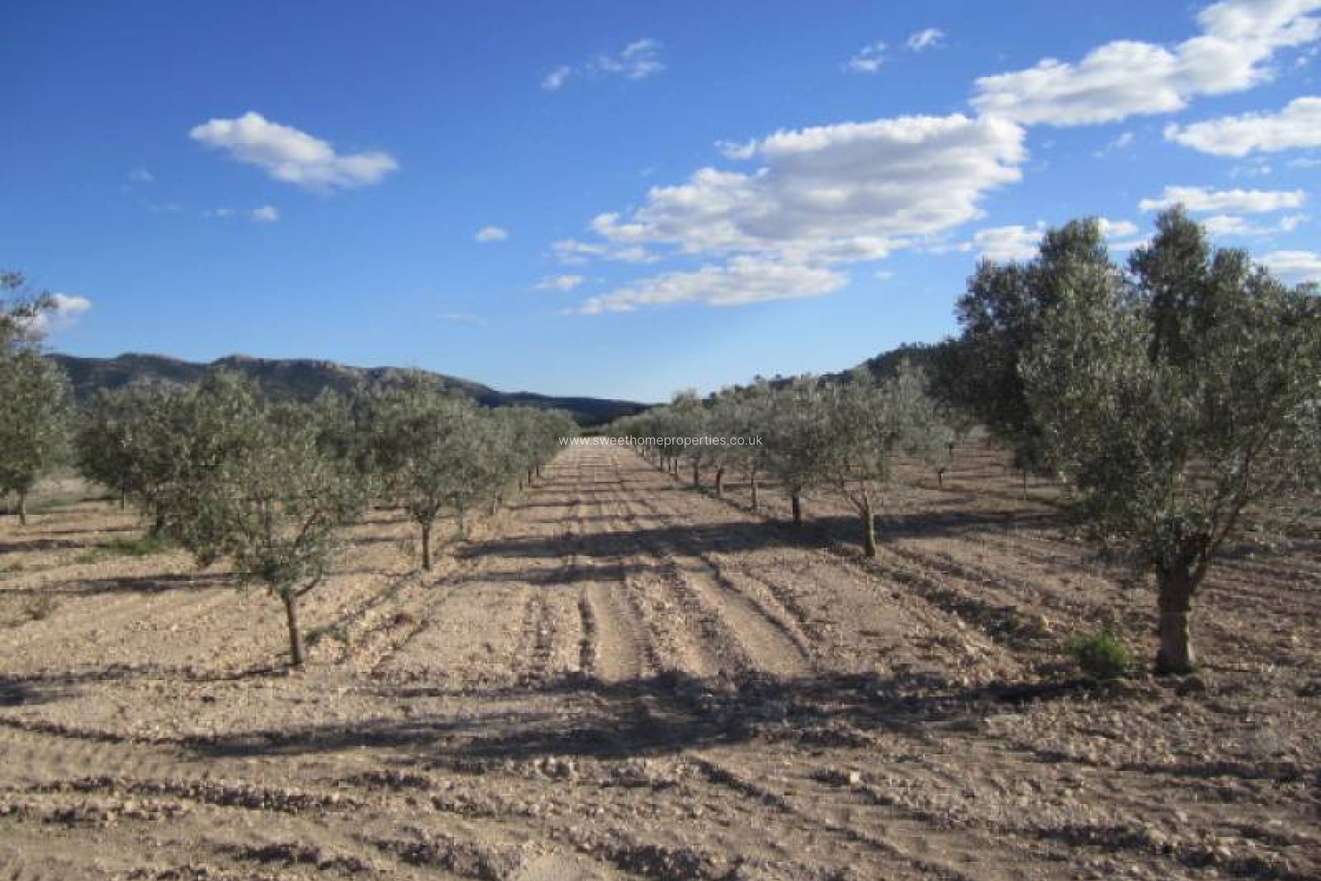 Resale - Country house - Salinas