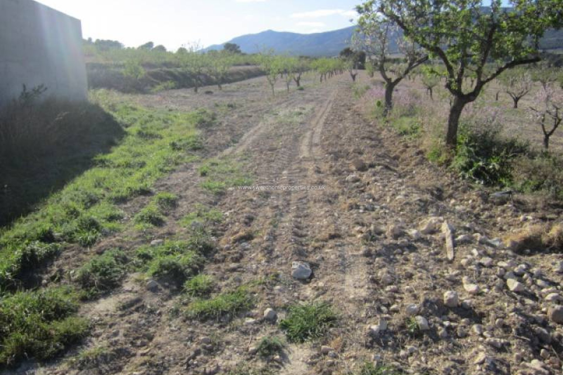 Resale - Country house - Salinas