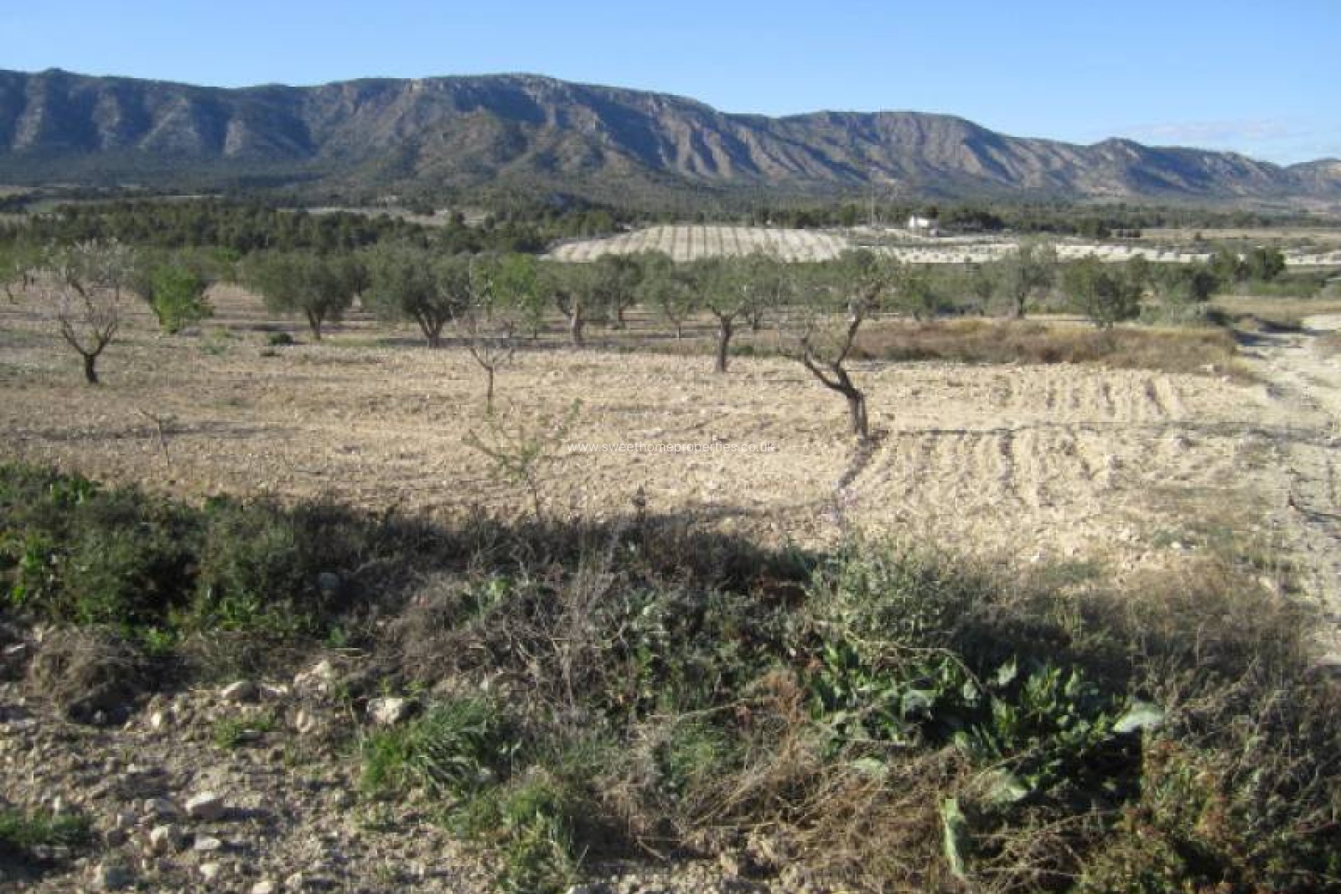 Resale - Country house - Salinas