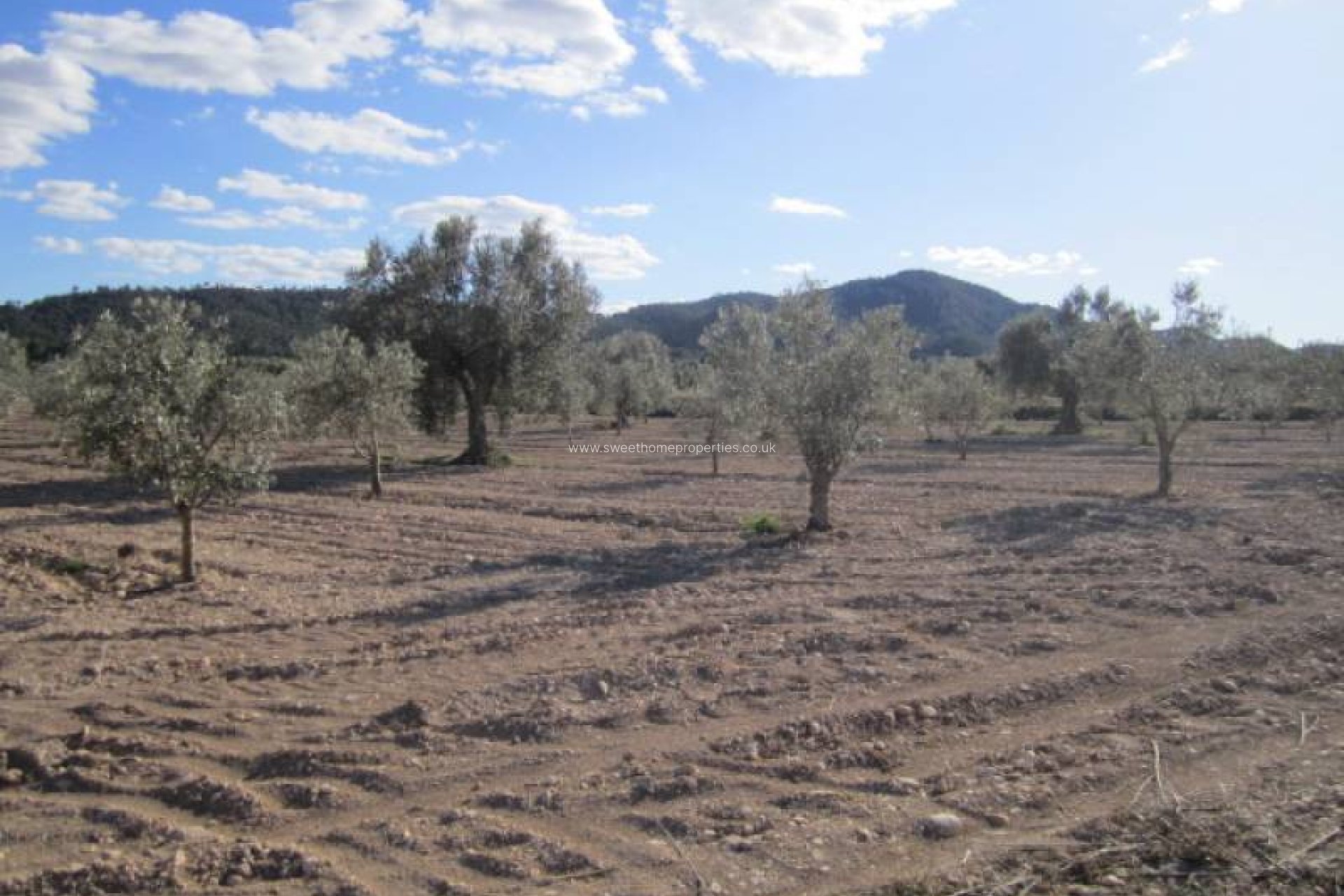 Resale - Country house - Salinas