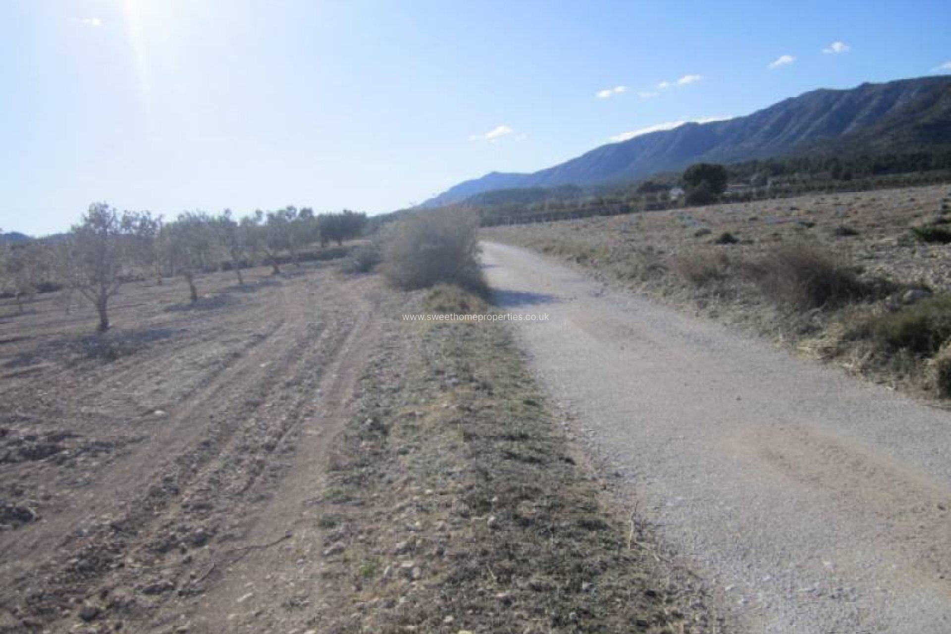 Resale - Country house - Salinas