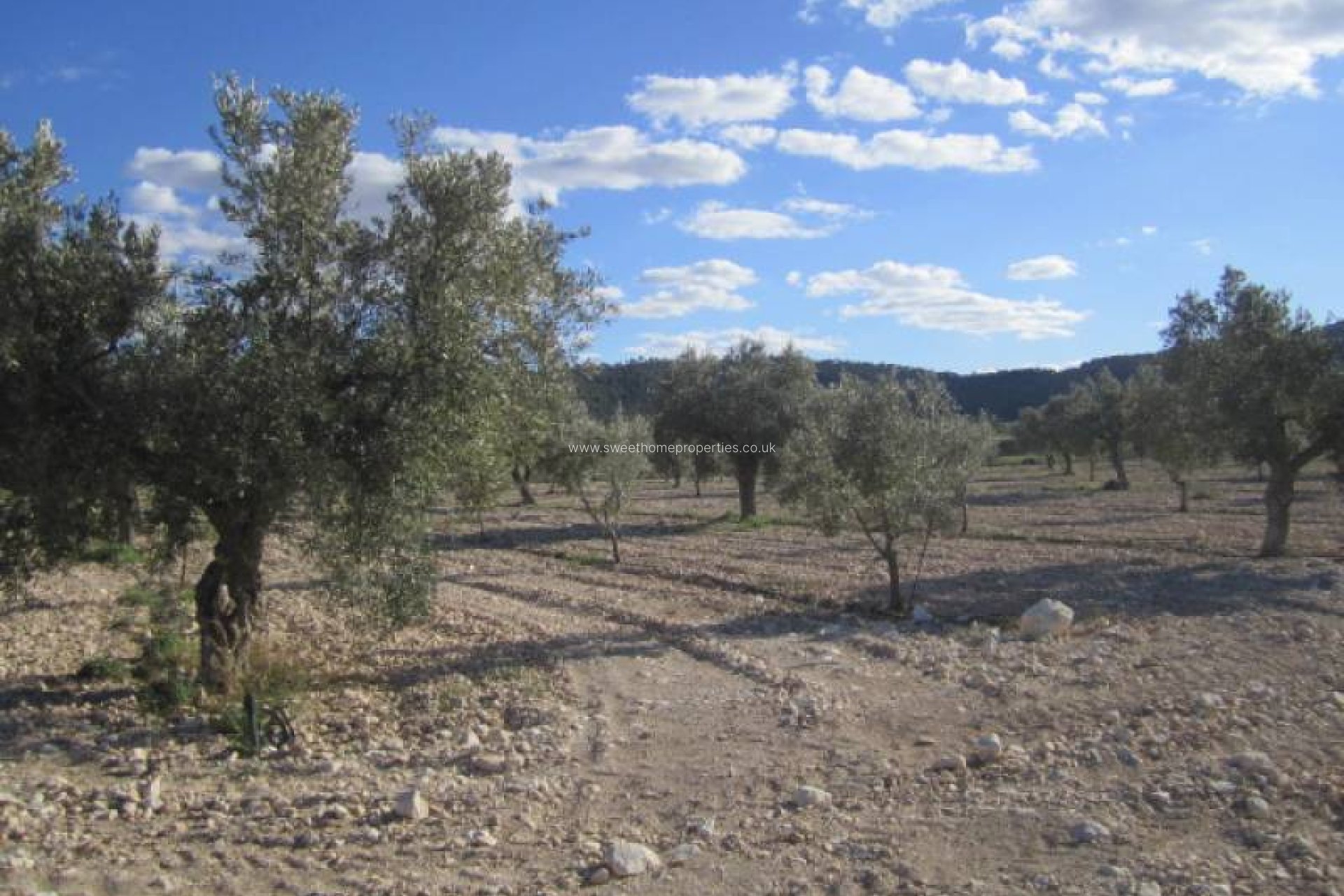 Resale - Country house - Salinas