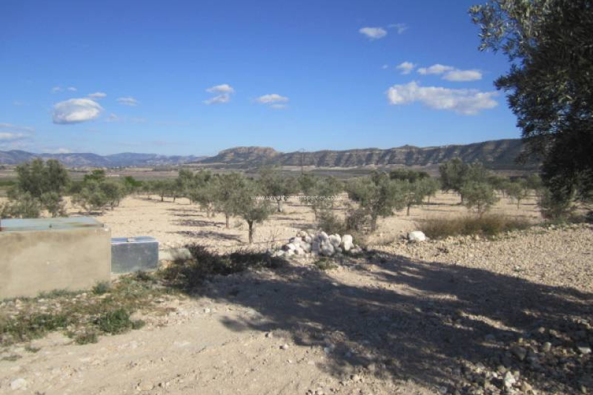 Resale - Country house - Salinas