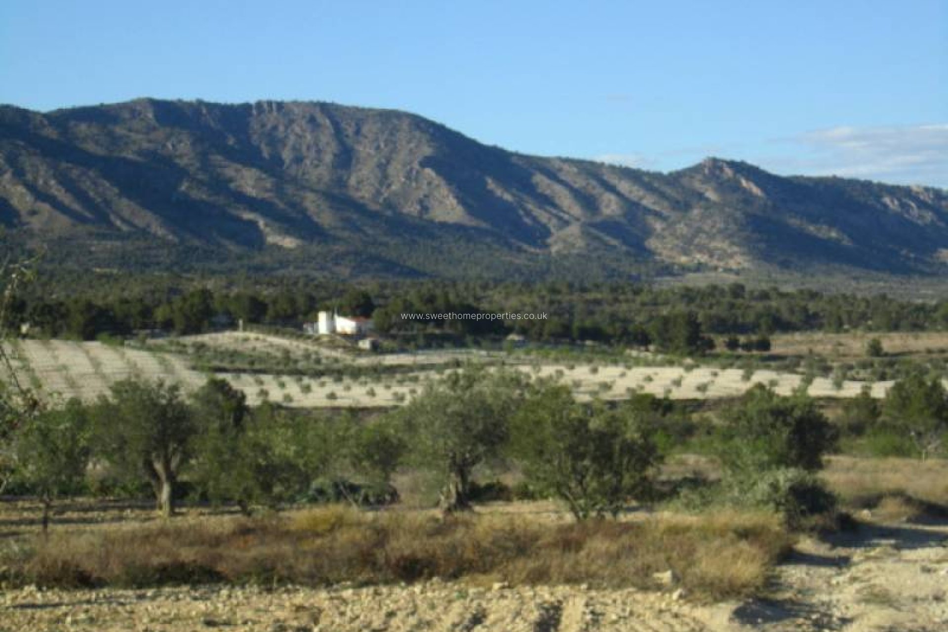 Resale - Country house - Salinas