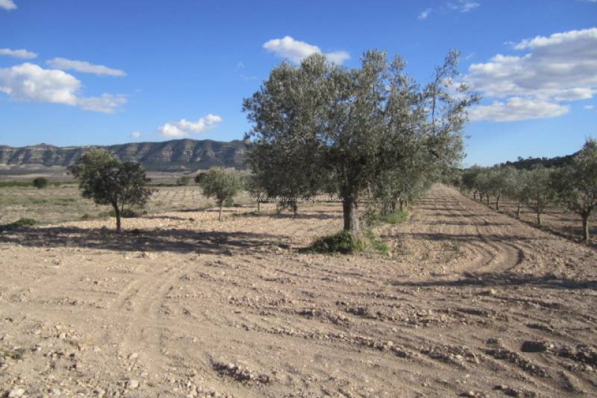 Resale - Country house - Salinas