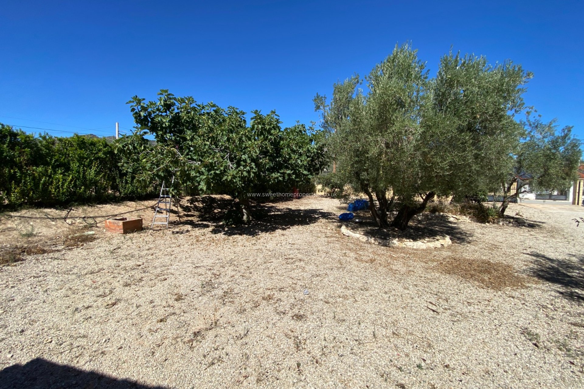 Resale - Country house - Salinas