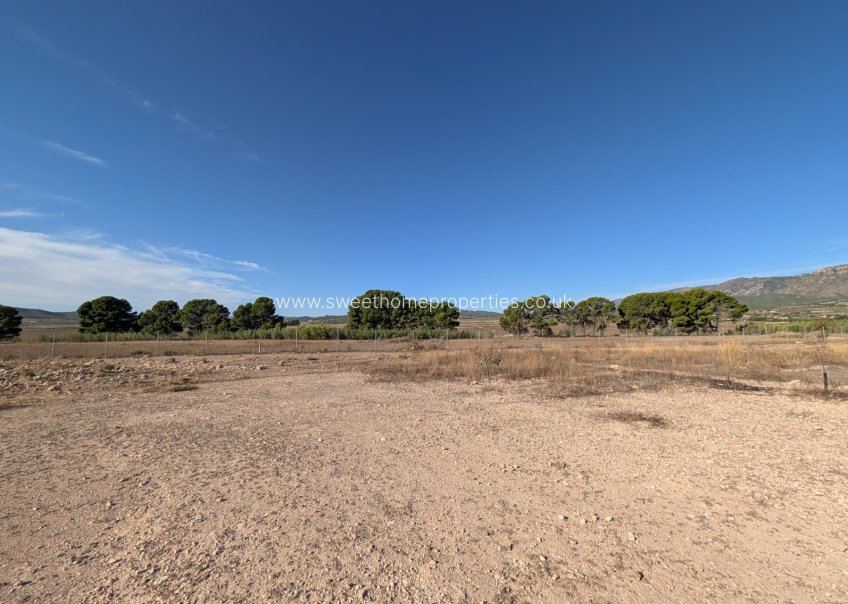 Resale - Country house - Salinas