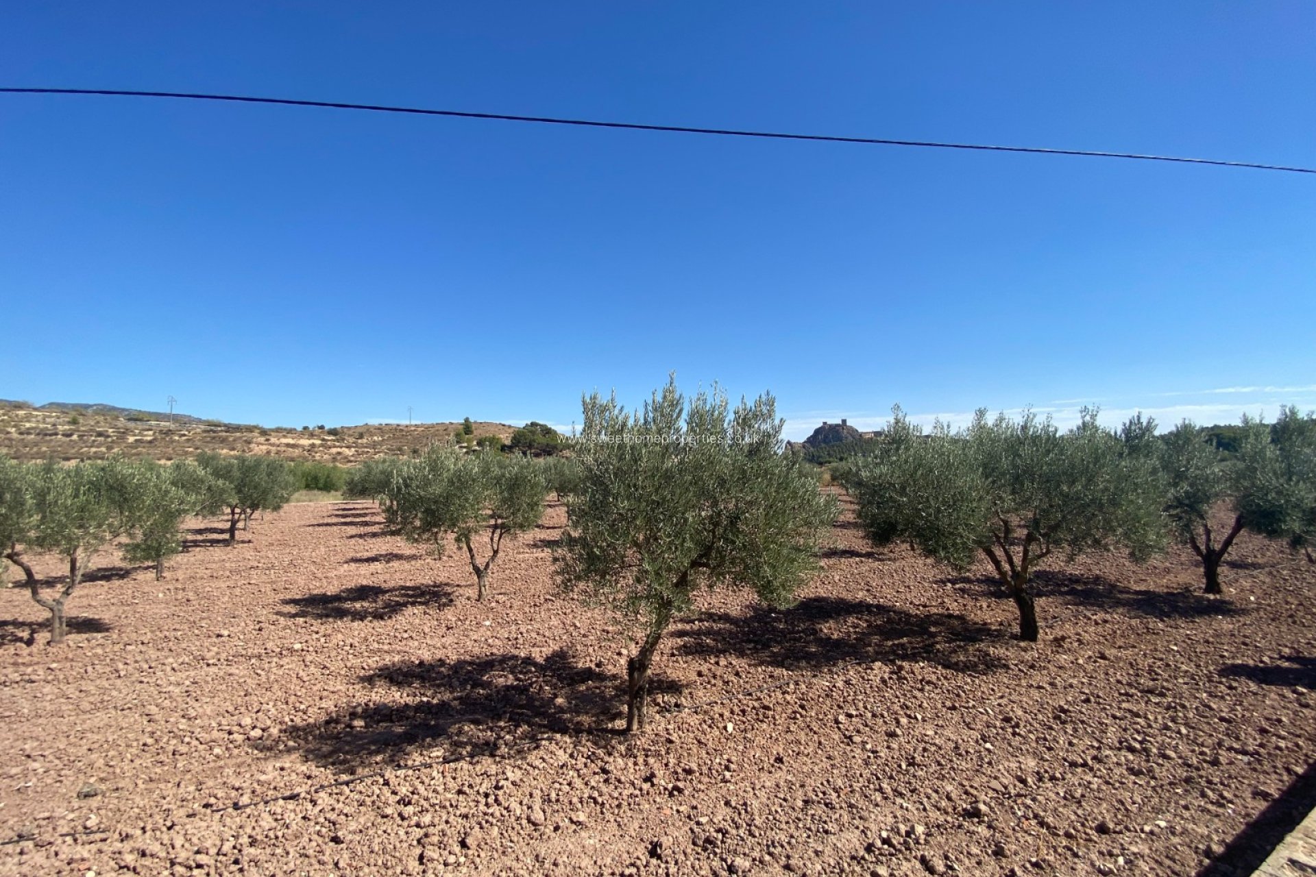 Resale - Country house - Sax