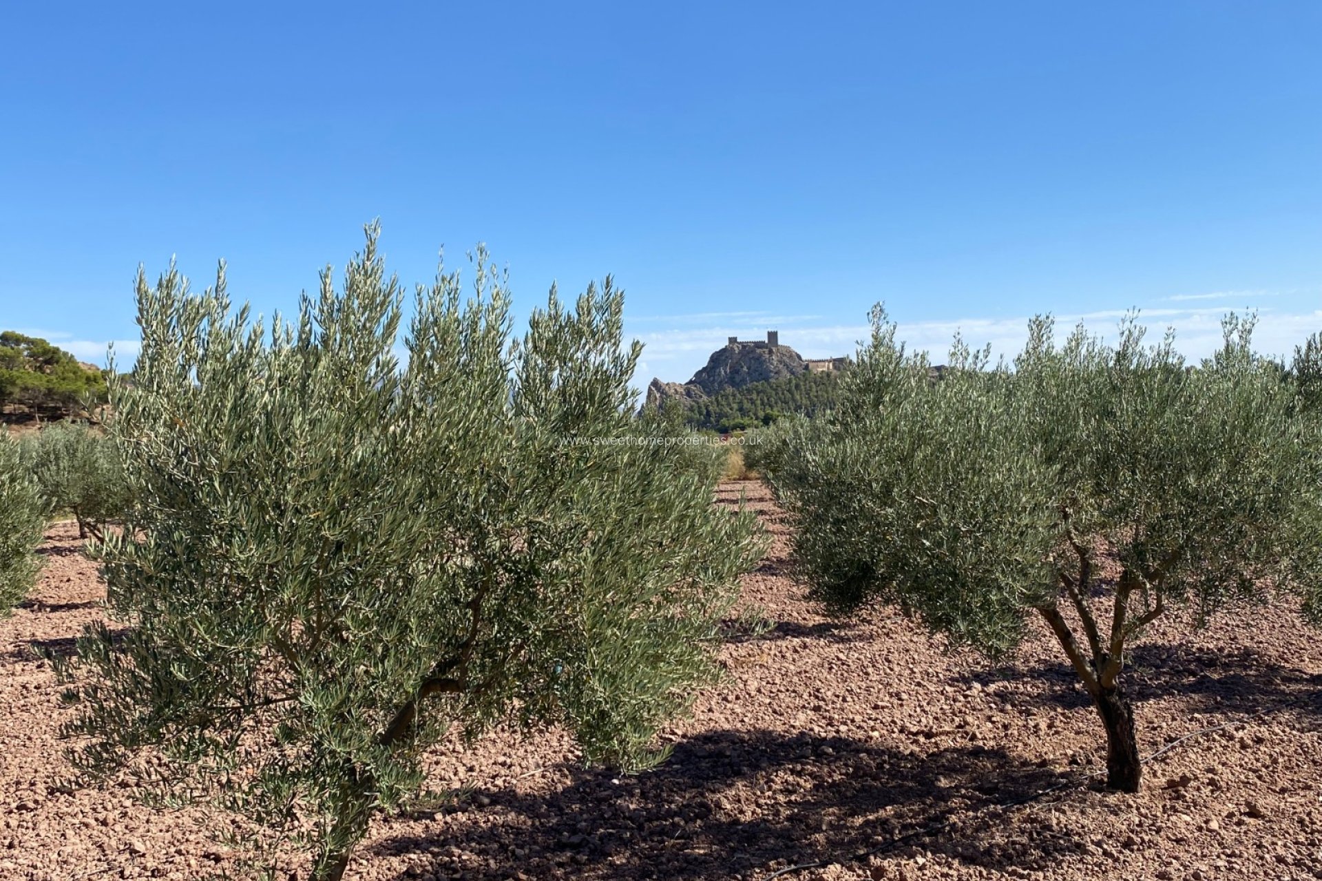 Resale - Country house - Sax